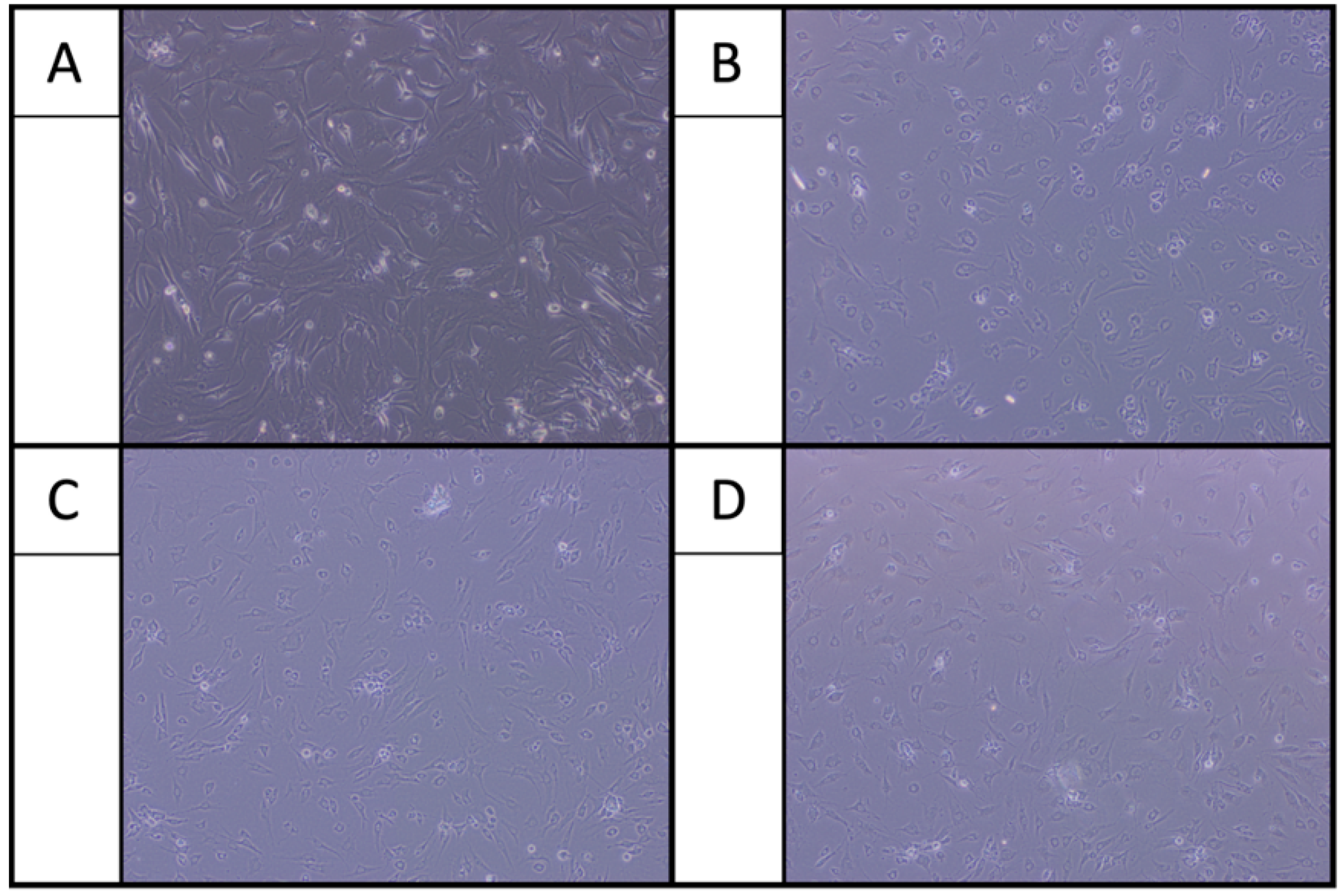 Ijms 22 11503 g001 Ijms 22 11503 g001