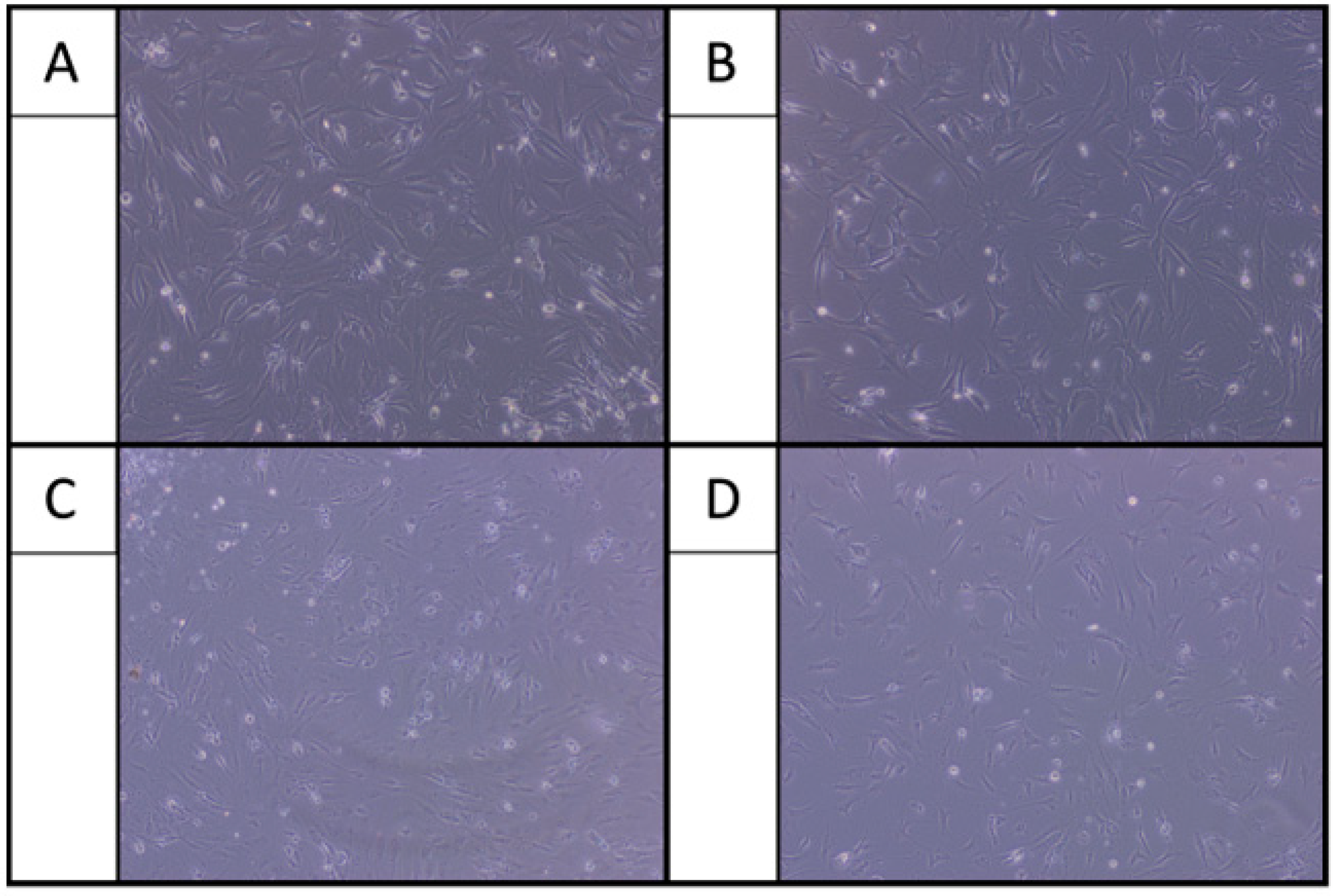 Ijms 22 11503 g002 Ijms 22 11503 g002