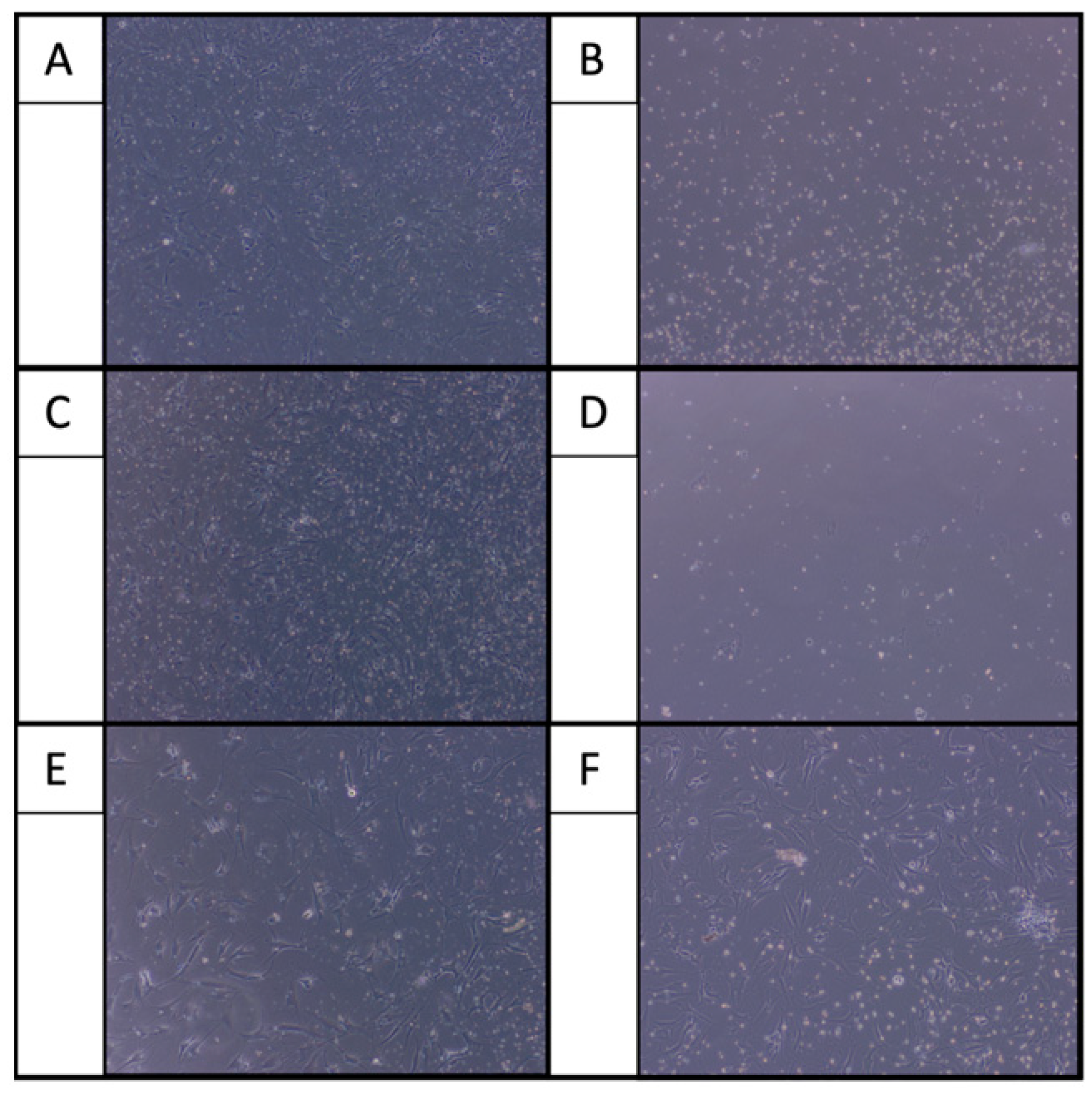 Ijms 22 11503 g003 Ijms 22 11503 g003