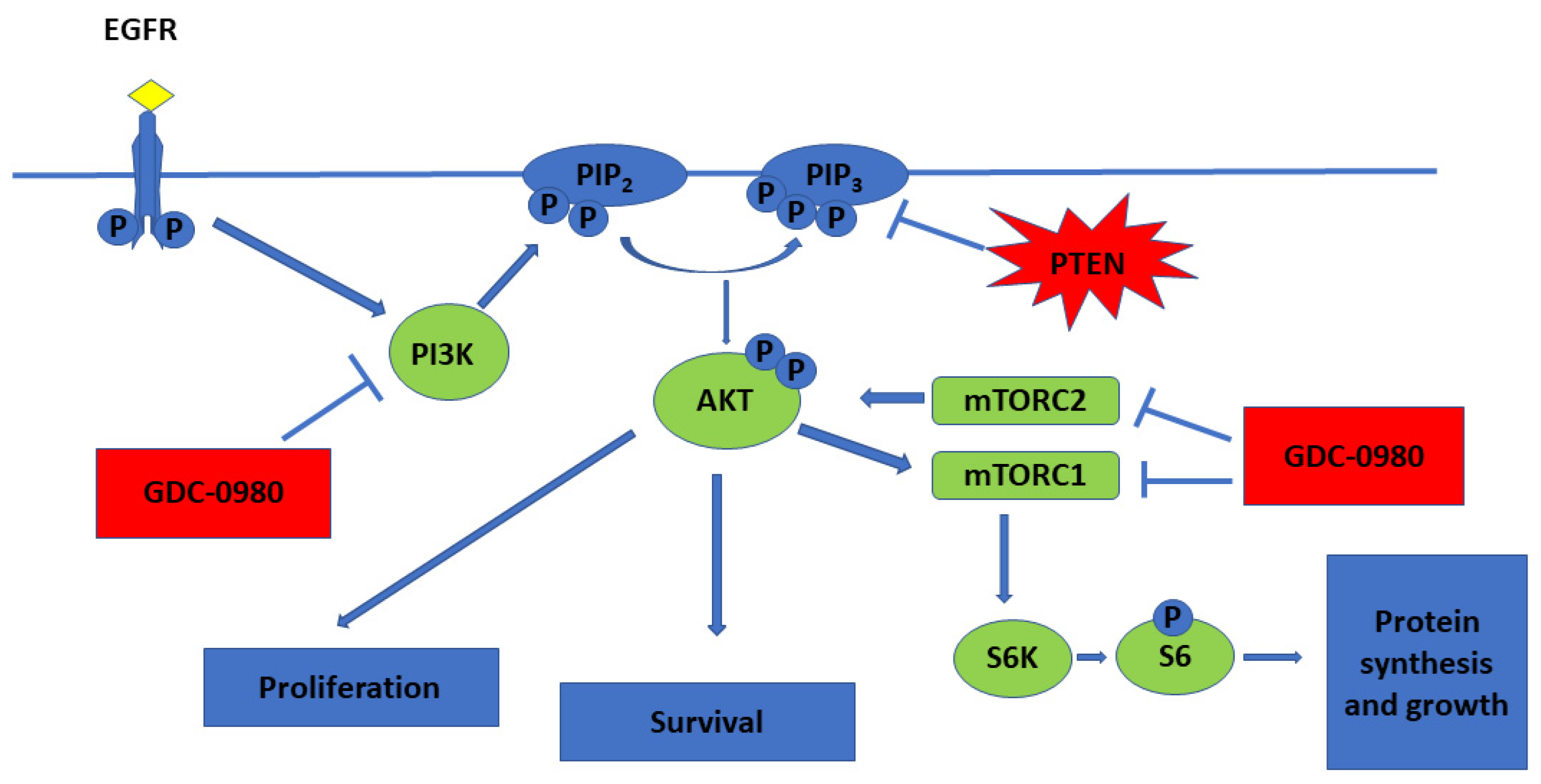 Ijms 22 11511 g001 550
