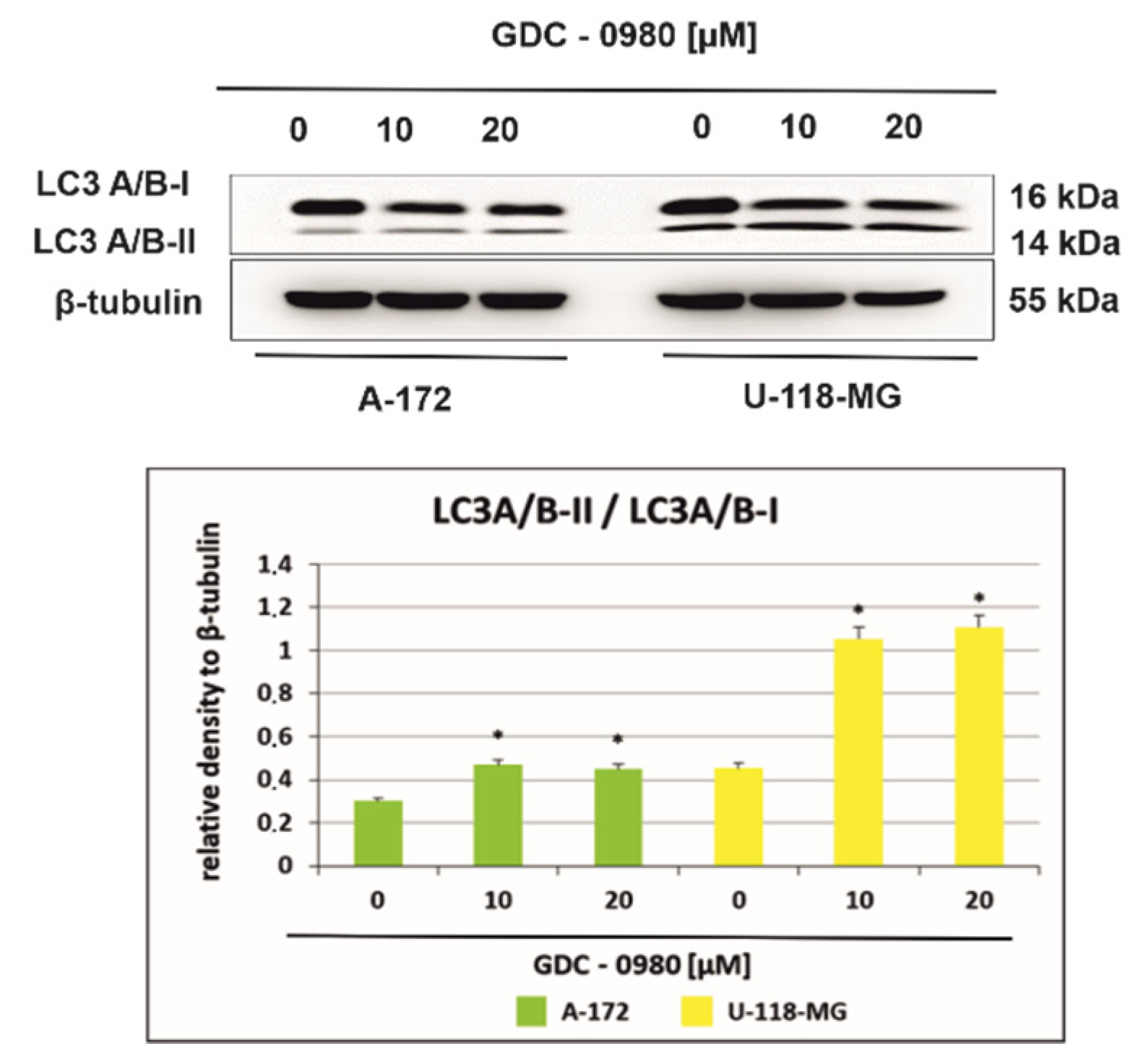 Ijms 22 11511 g008 550