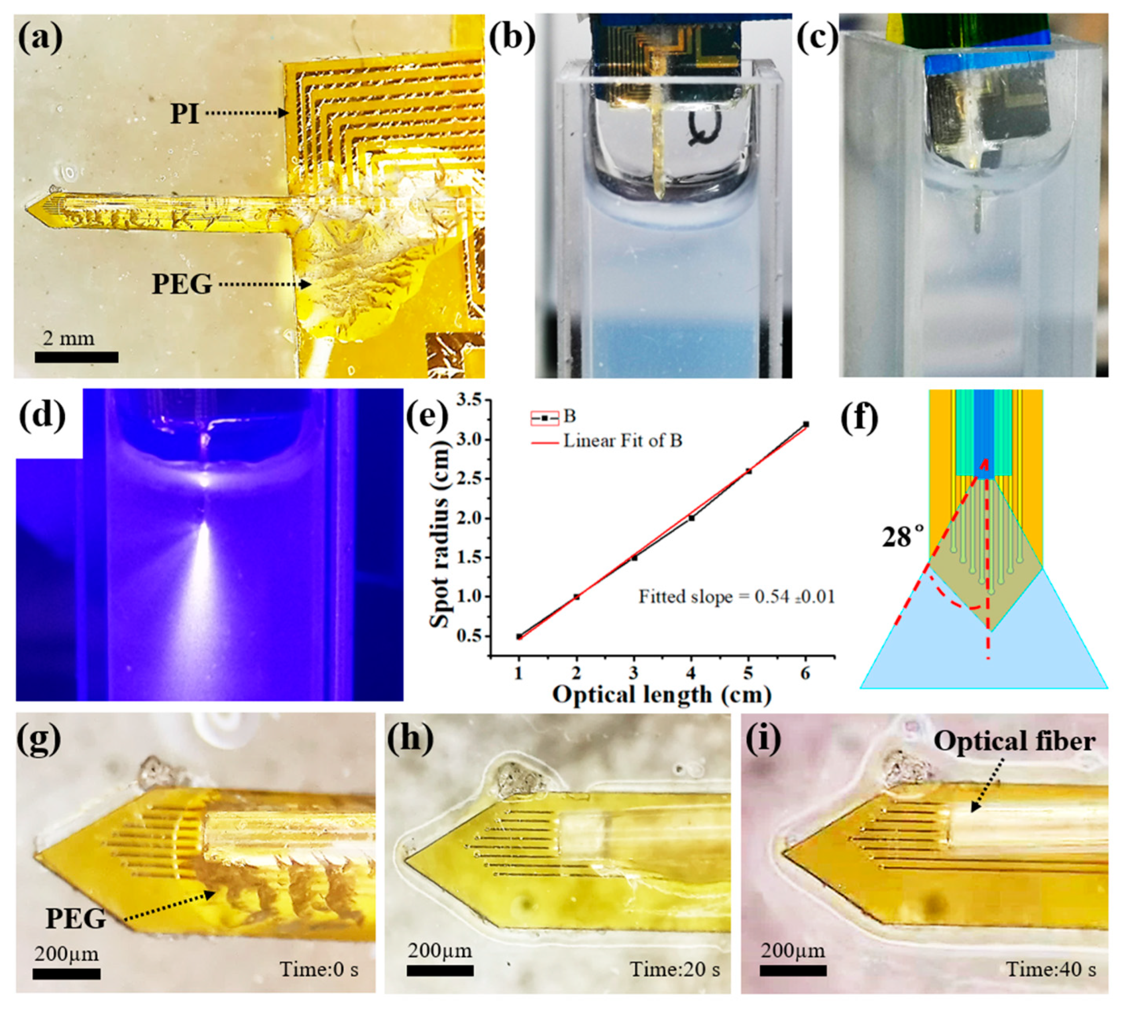 Ijms 22 11528 g005 550