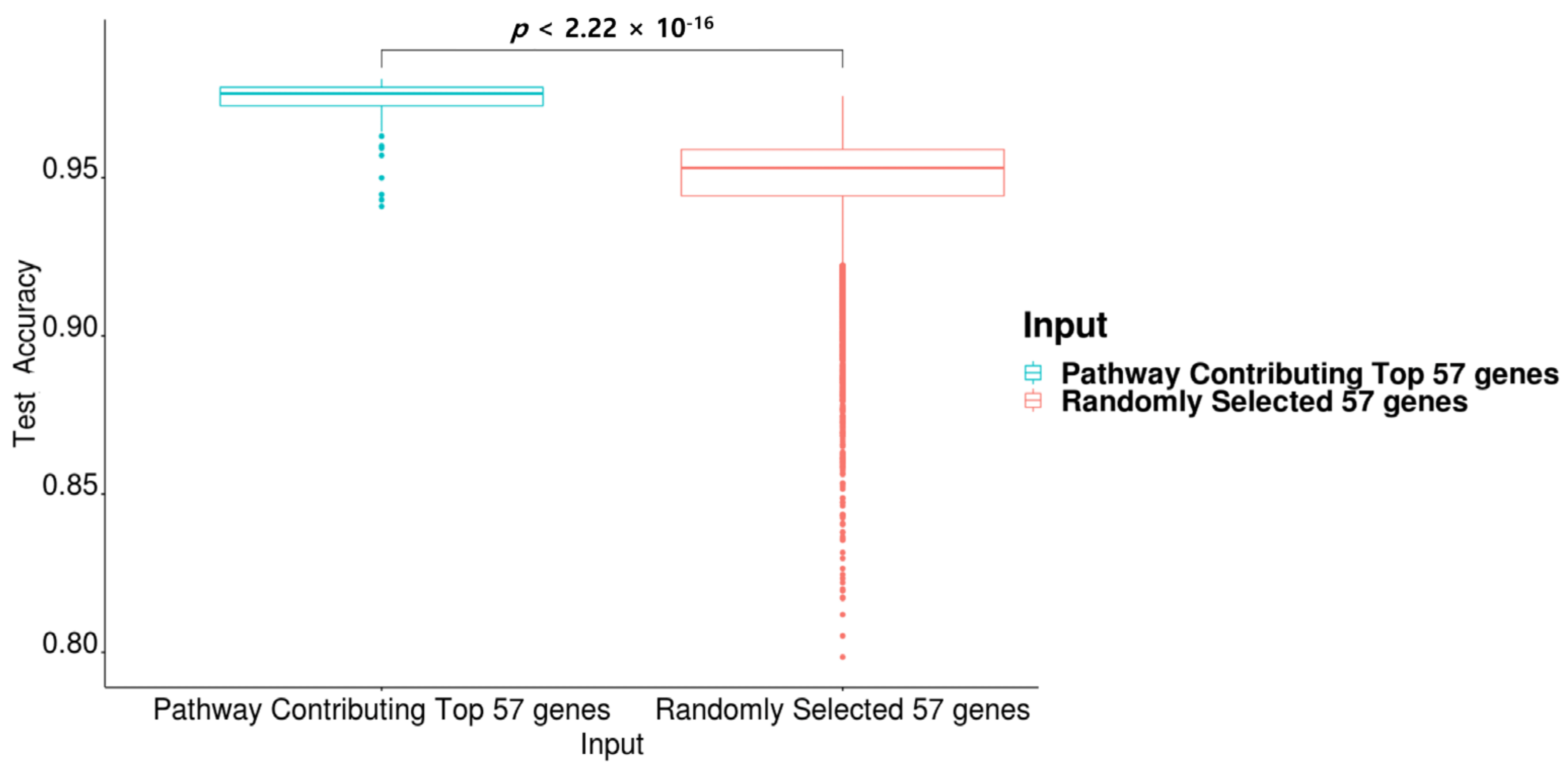 Ijms 22 11531 g005 550
