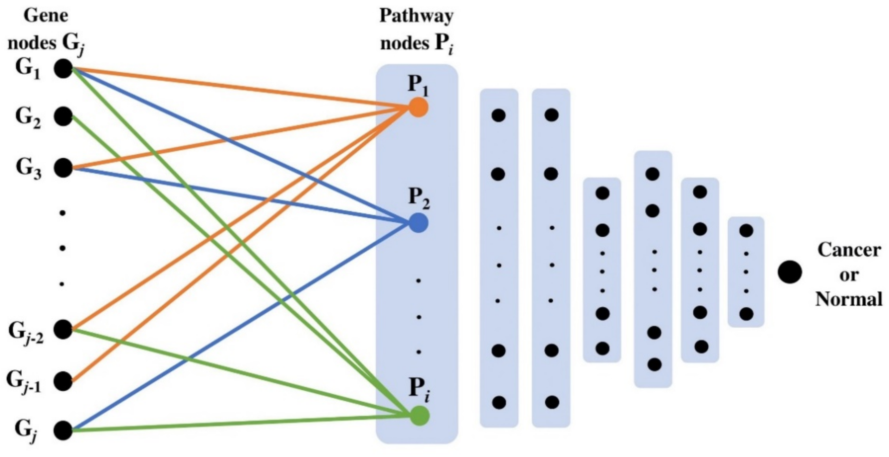 Ijms 22 11531 g007 550