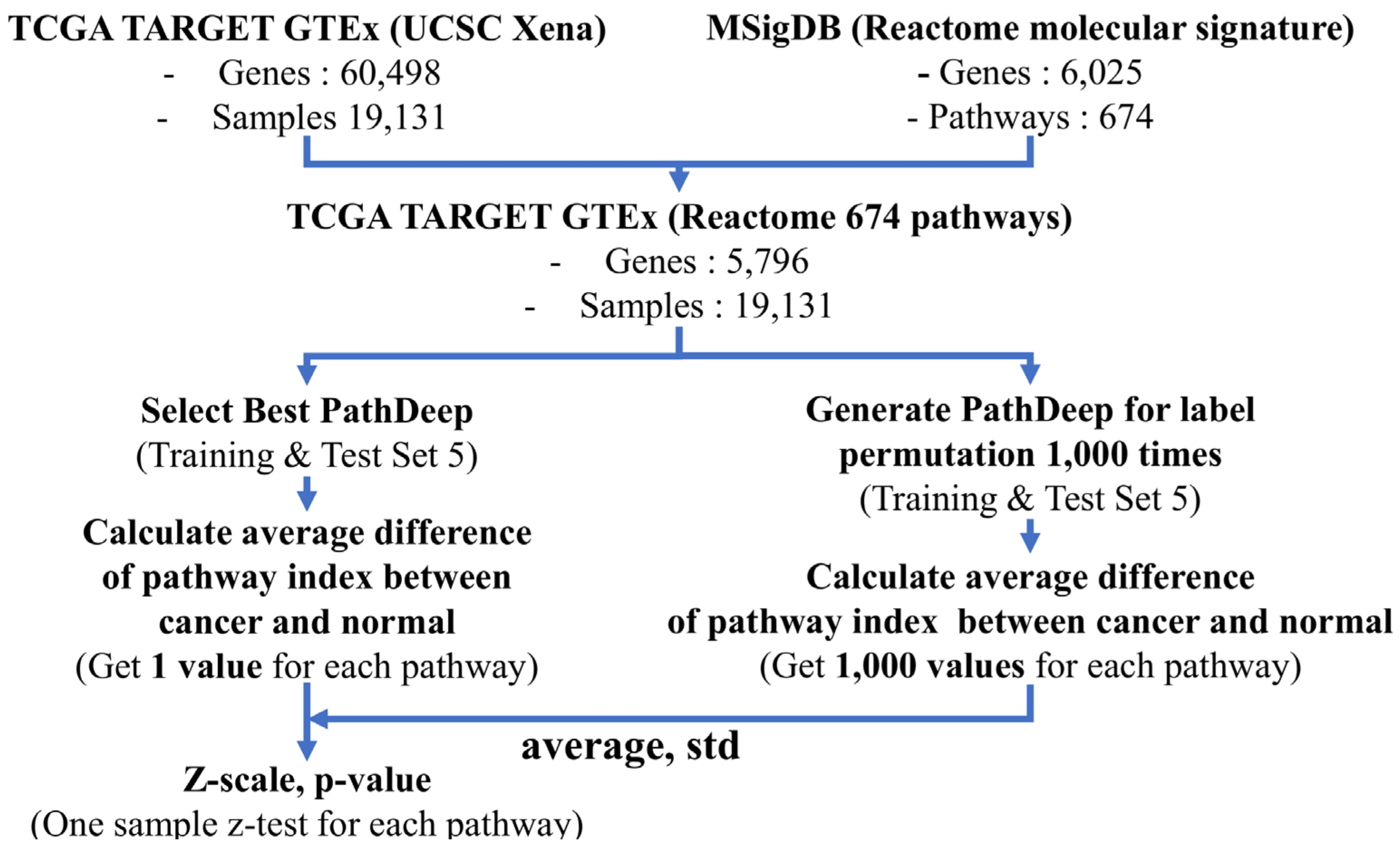 Ijms 22 11531 g008 550