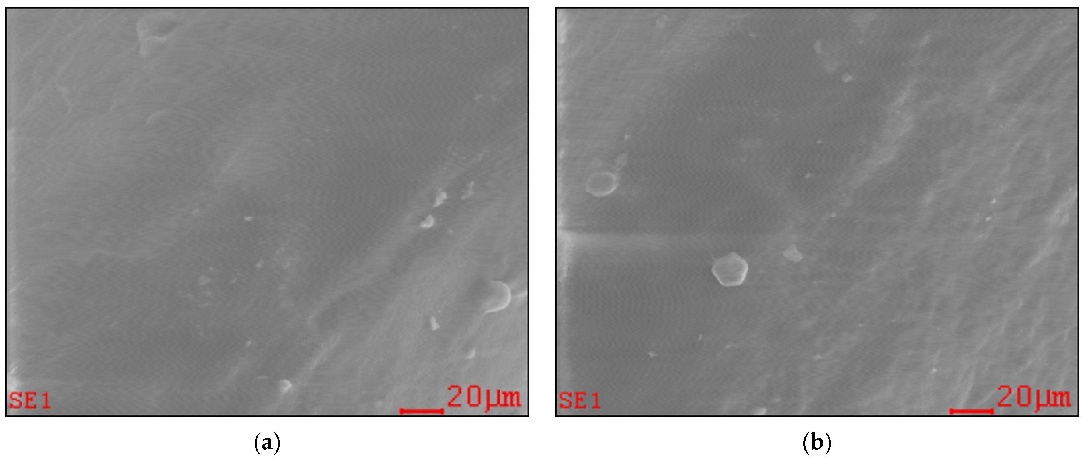 Ijms 22 11534 g001 550