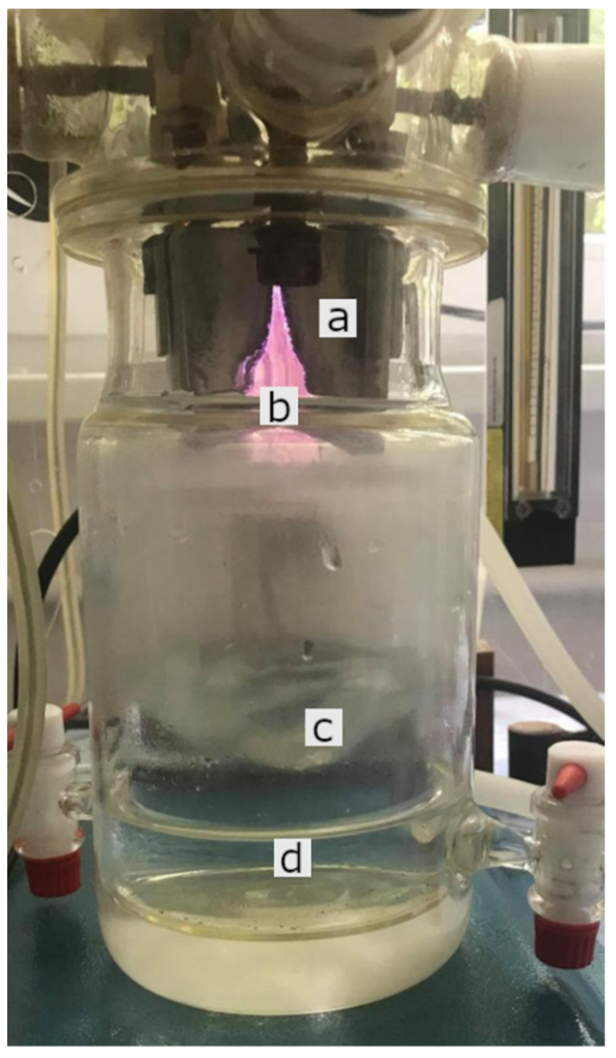 Ijms 22 11534 g005 550