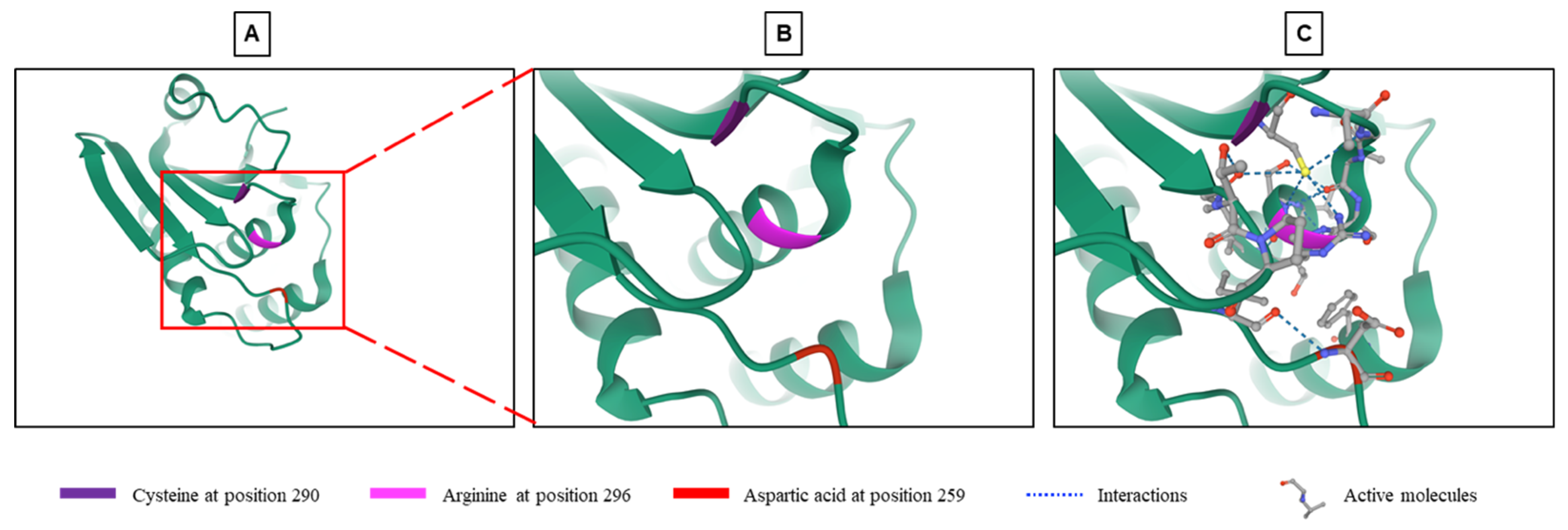 IJMS Free Full-Text DUSP9, a Dual-Specificity Phosphatase with a Key Role in Cell Biology and Human Diseases image