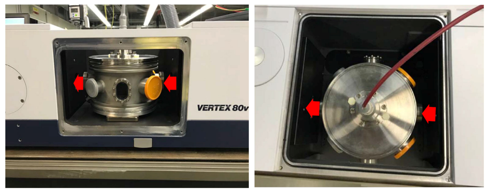 Ijms 22 11540 g007 550