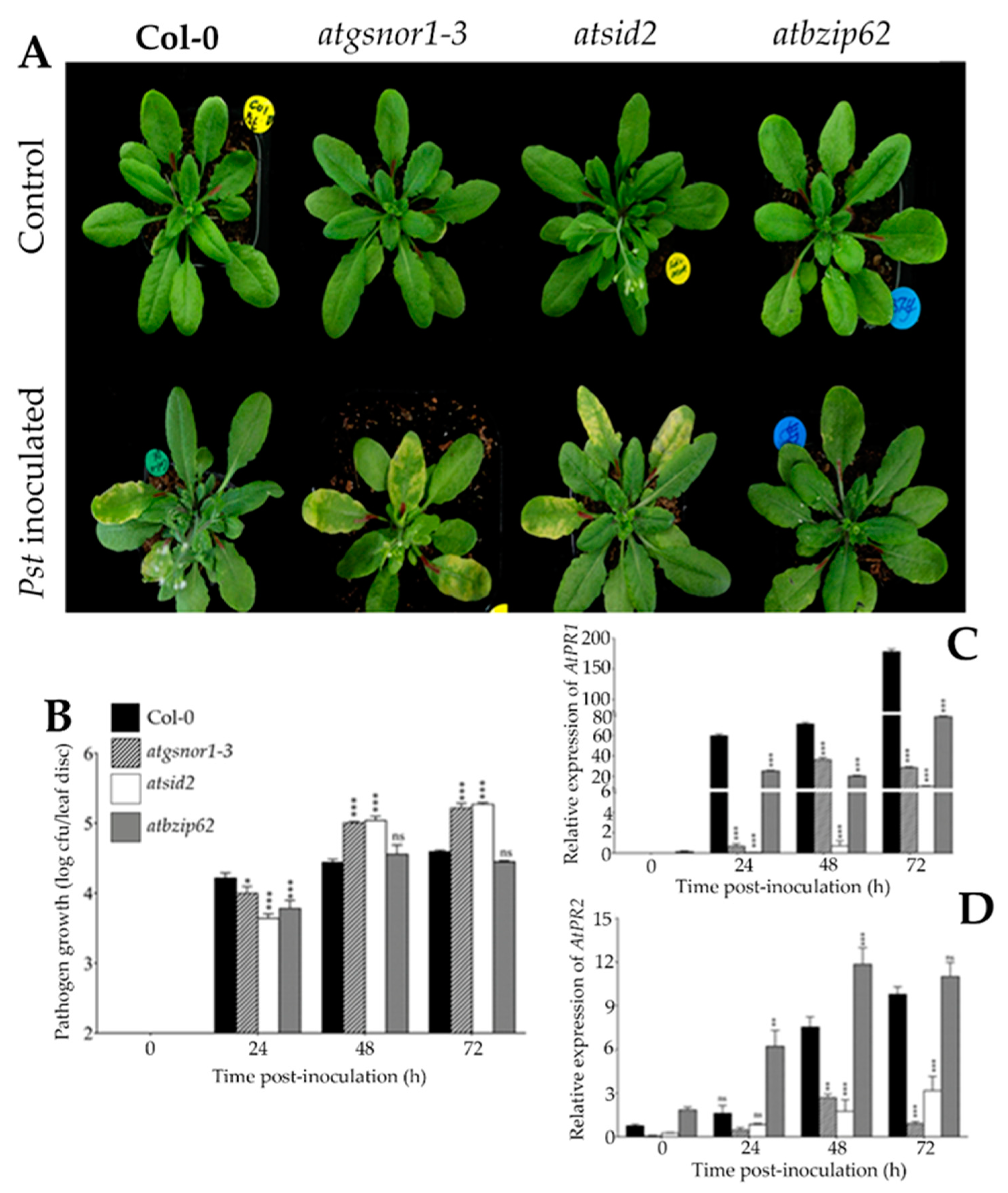Ijms 22 11541 g001 Ijms 22 11541 g001