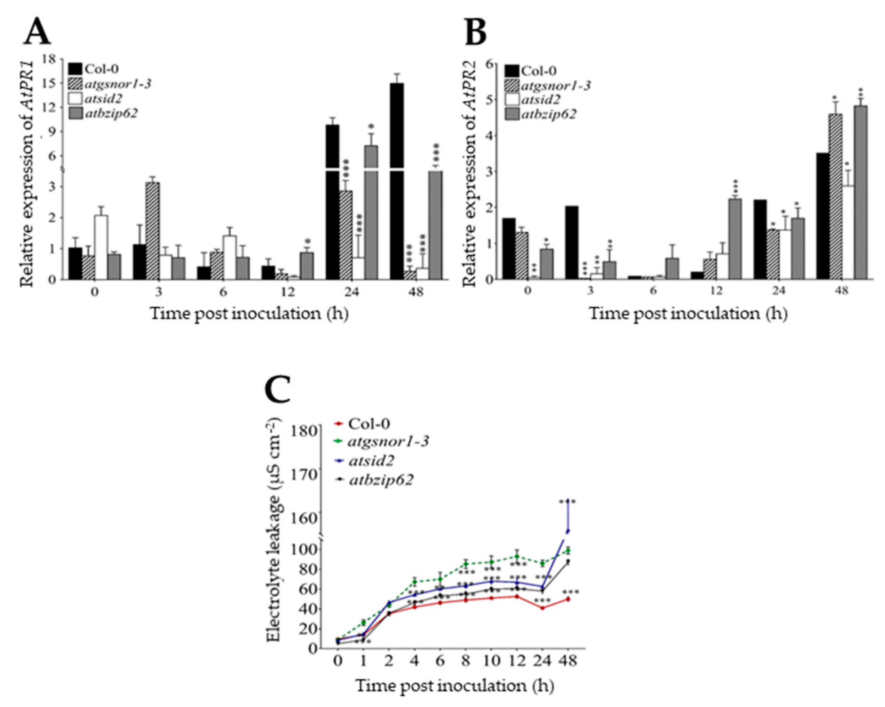 Ijms 22 11541 g002 Ijms 22 11541 g002