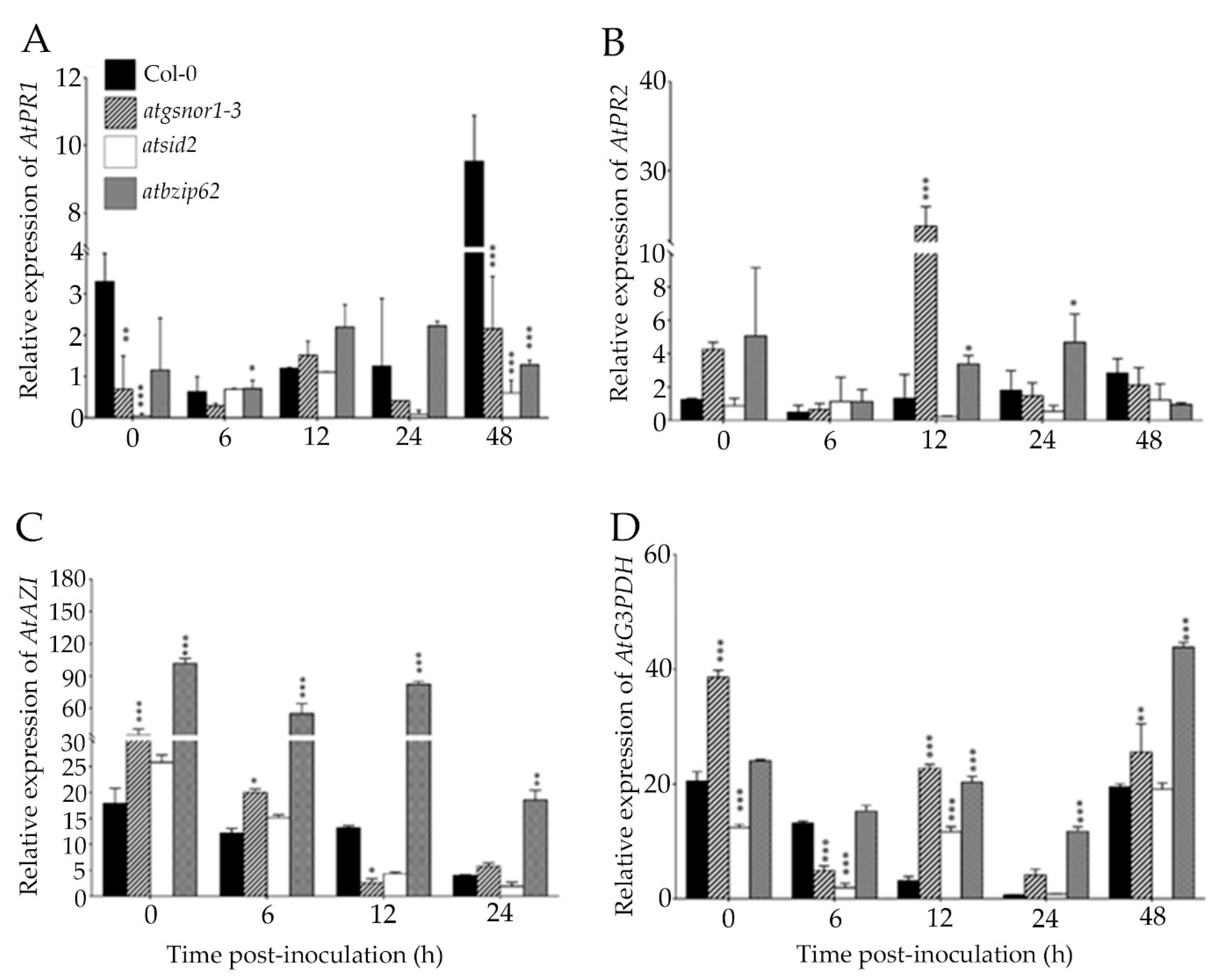 Ijms 22 11541 g003 Ijms 22 11541 g003