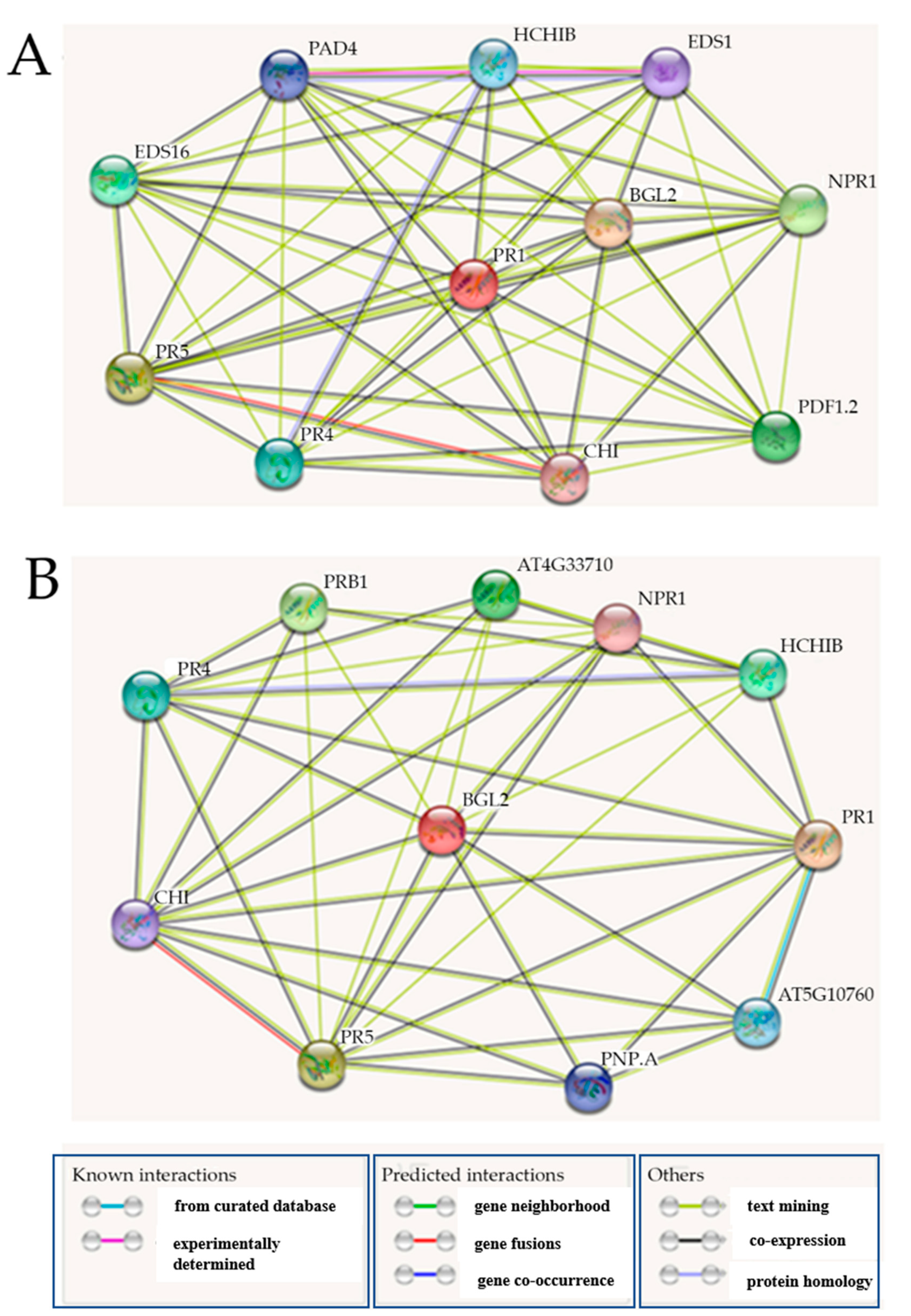 Ijms 22 11541 g004 Ijms 22 11541 g004