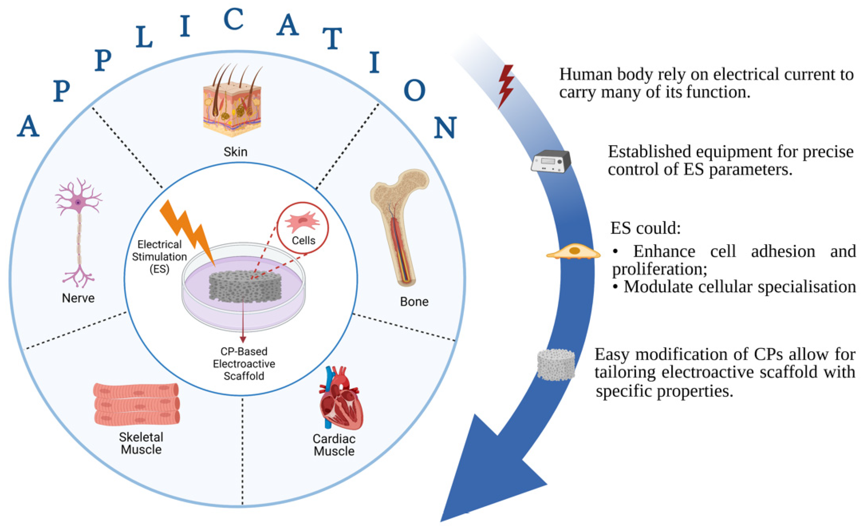 Electrical stimulation in bone tissue engineering treatments