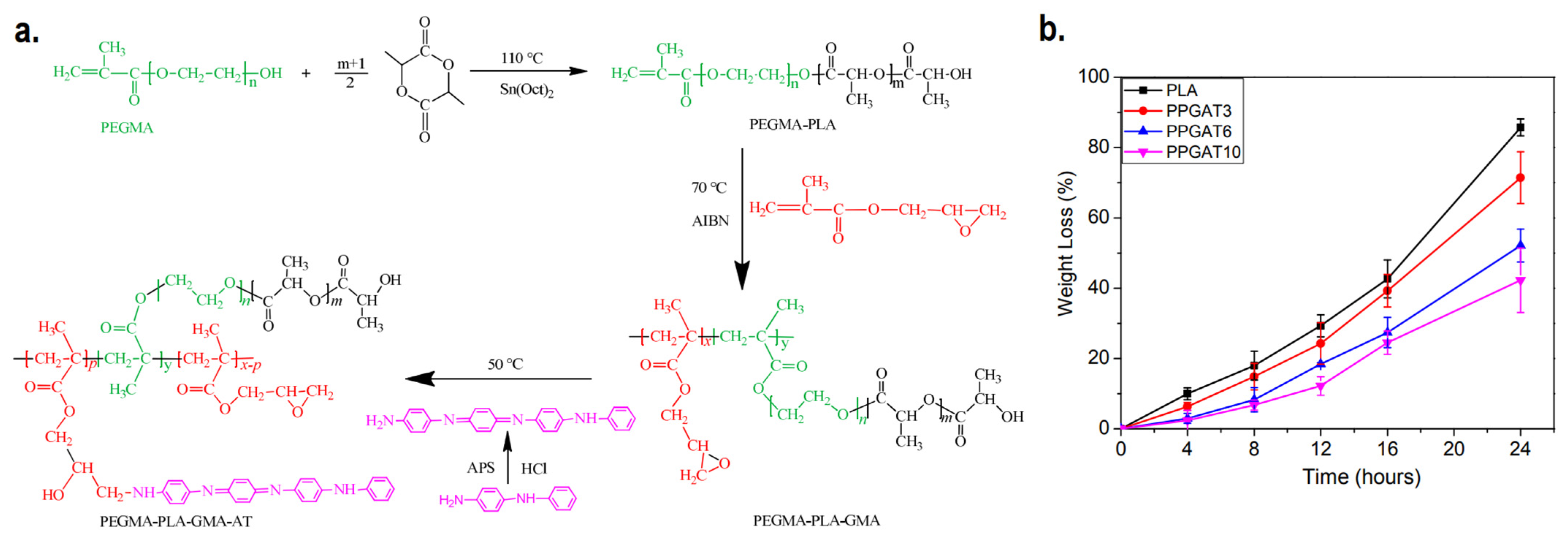 Ijms 22 11543 g005 550