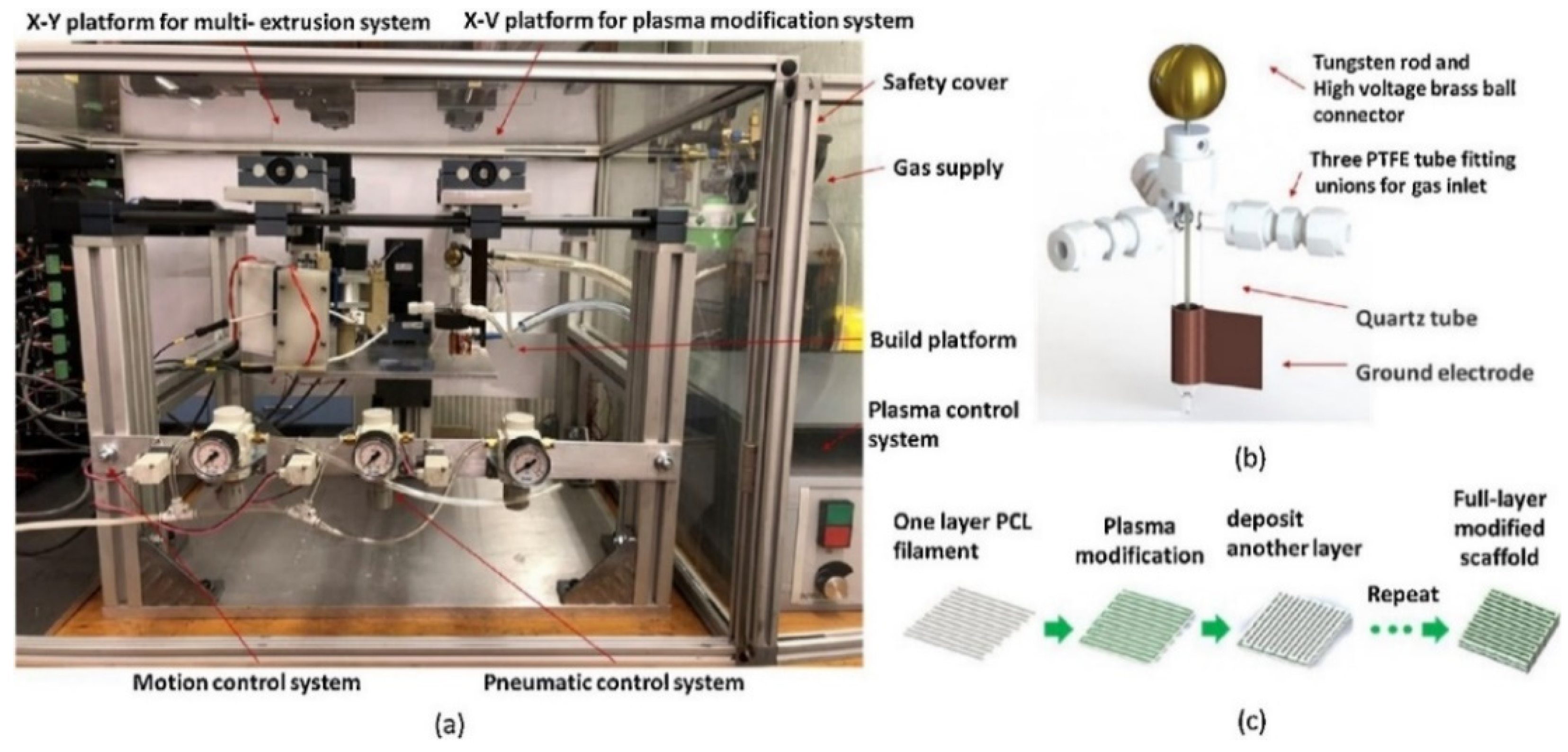 Ijms 22 11543 g013 550