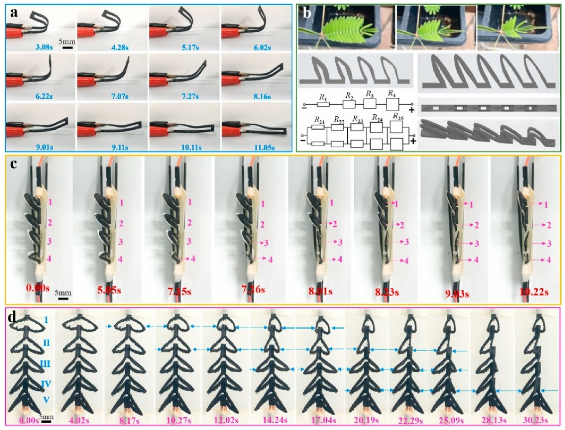 Ijms 22 11543 g014 550