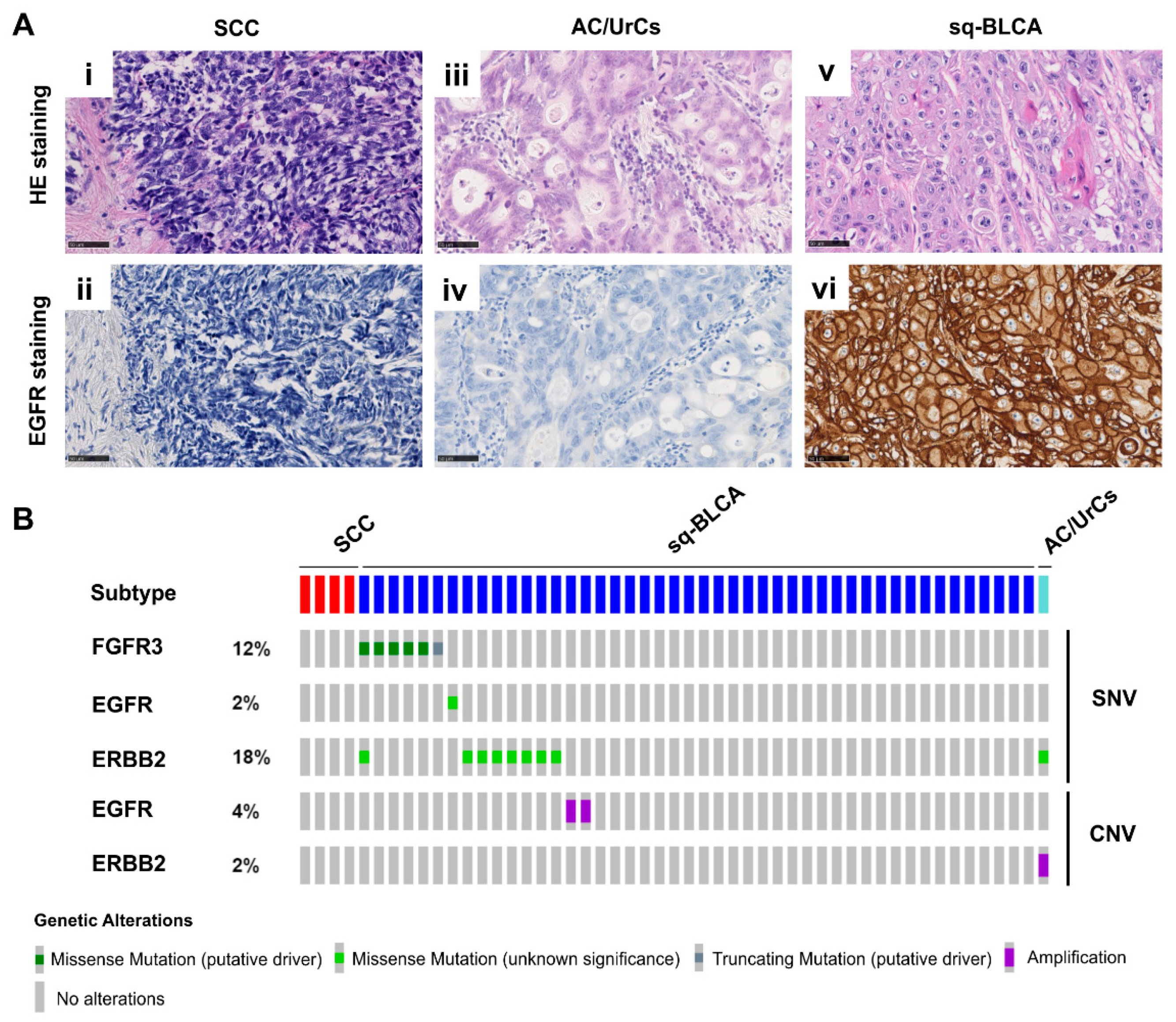 Ijms 22 11547 g005 550