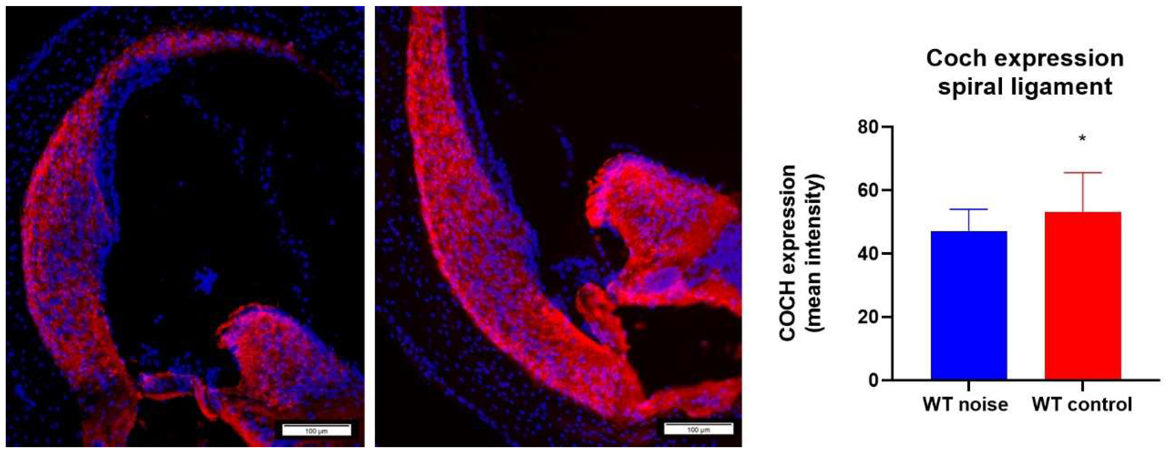 Ijms 22 11549 g009 Ijms 22 11549 g009