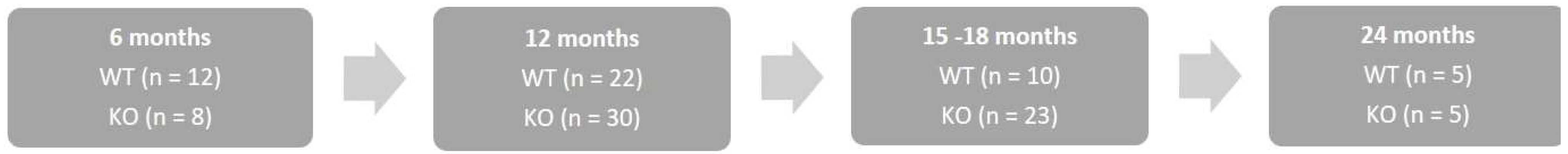 Ijms 22 11549 g010 Ijms 22 11549 g010