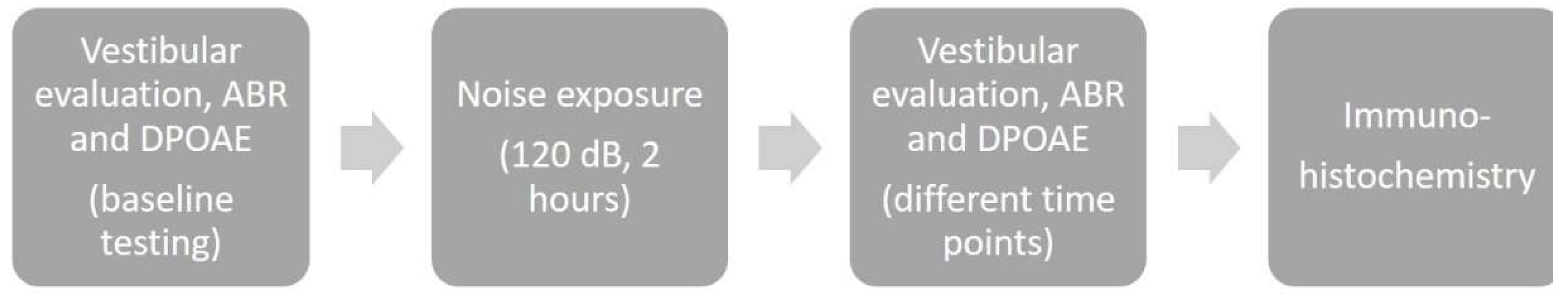 Ijms 22 11549 g011 Ijms 22 11549 g011