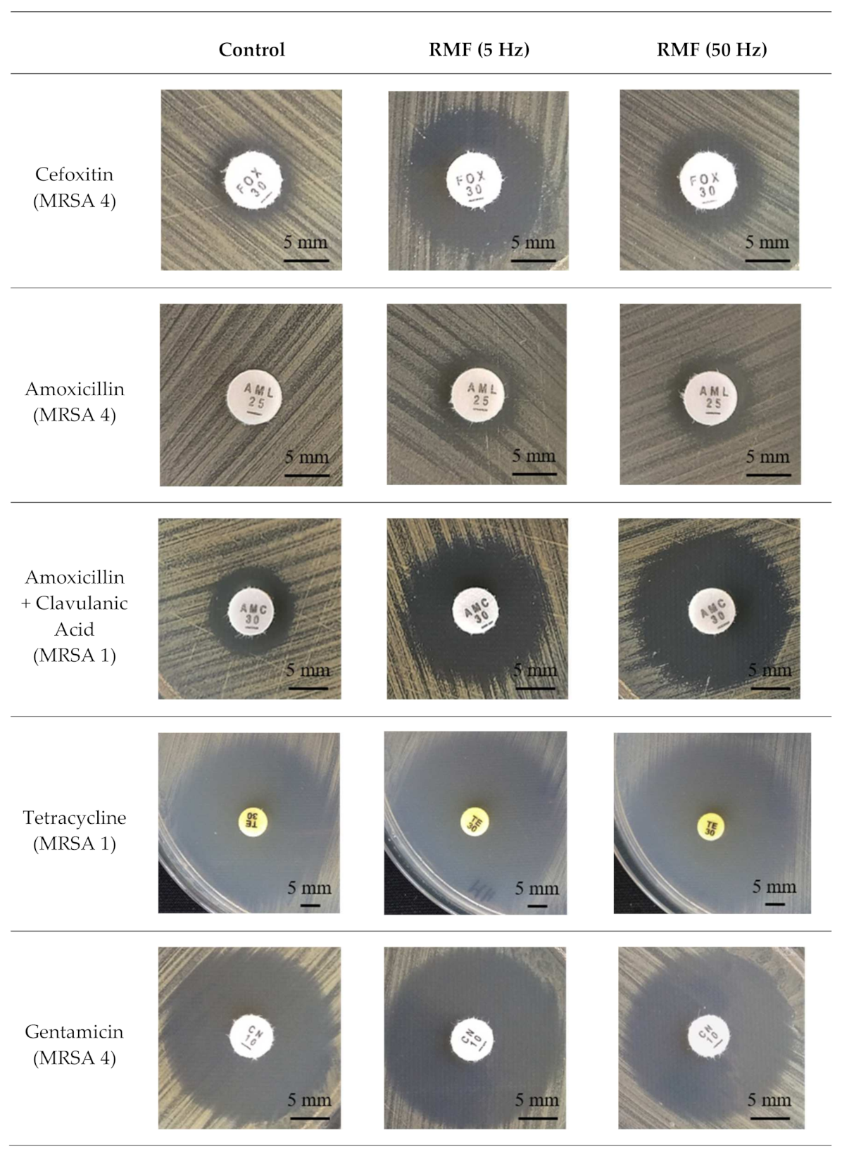 Ijms 22 11551 g001a Ijms 22 11551 g001a