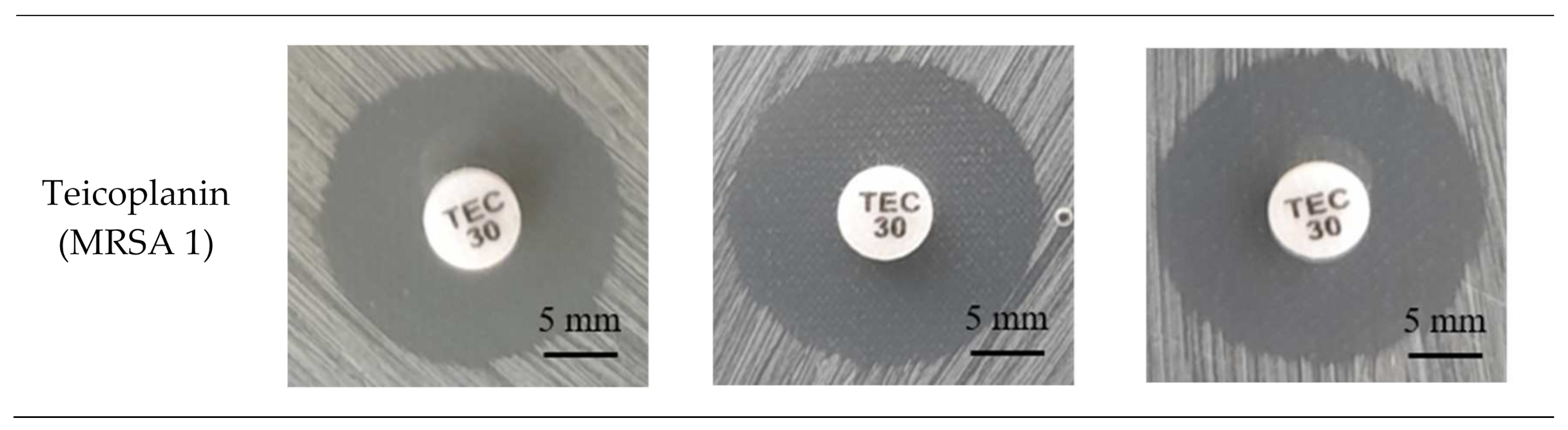 Ijms 22 11551 g001b Ijms 22 11551 g001b