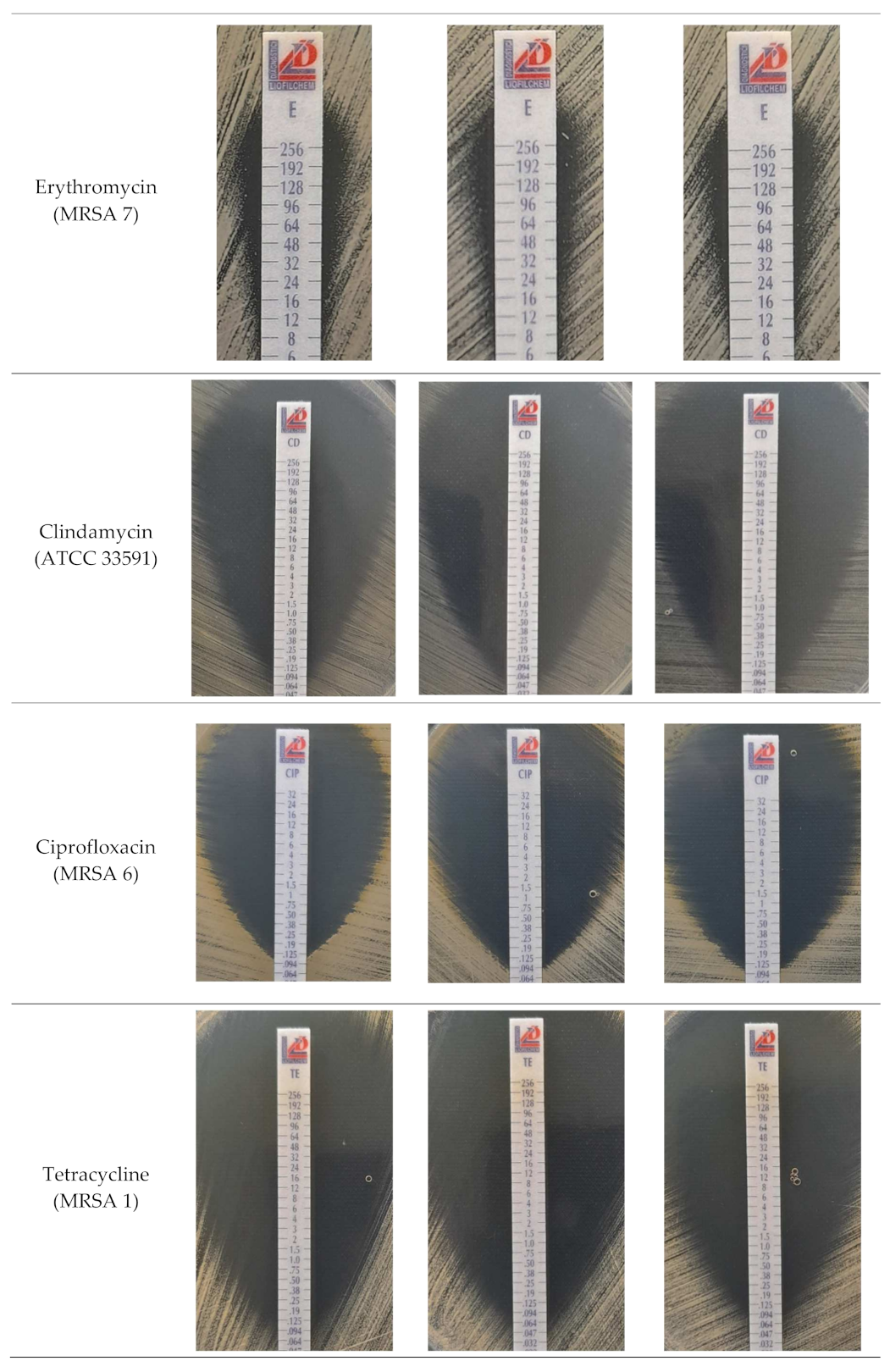 Ijms 22 11551 g002b Ijms 22 11551 g002b