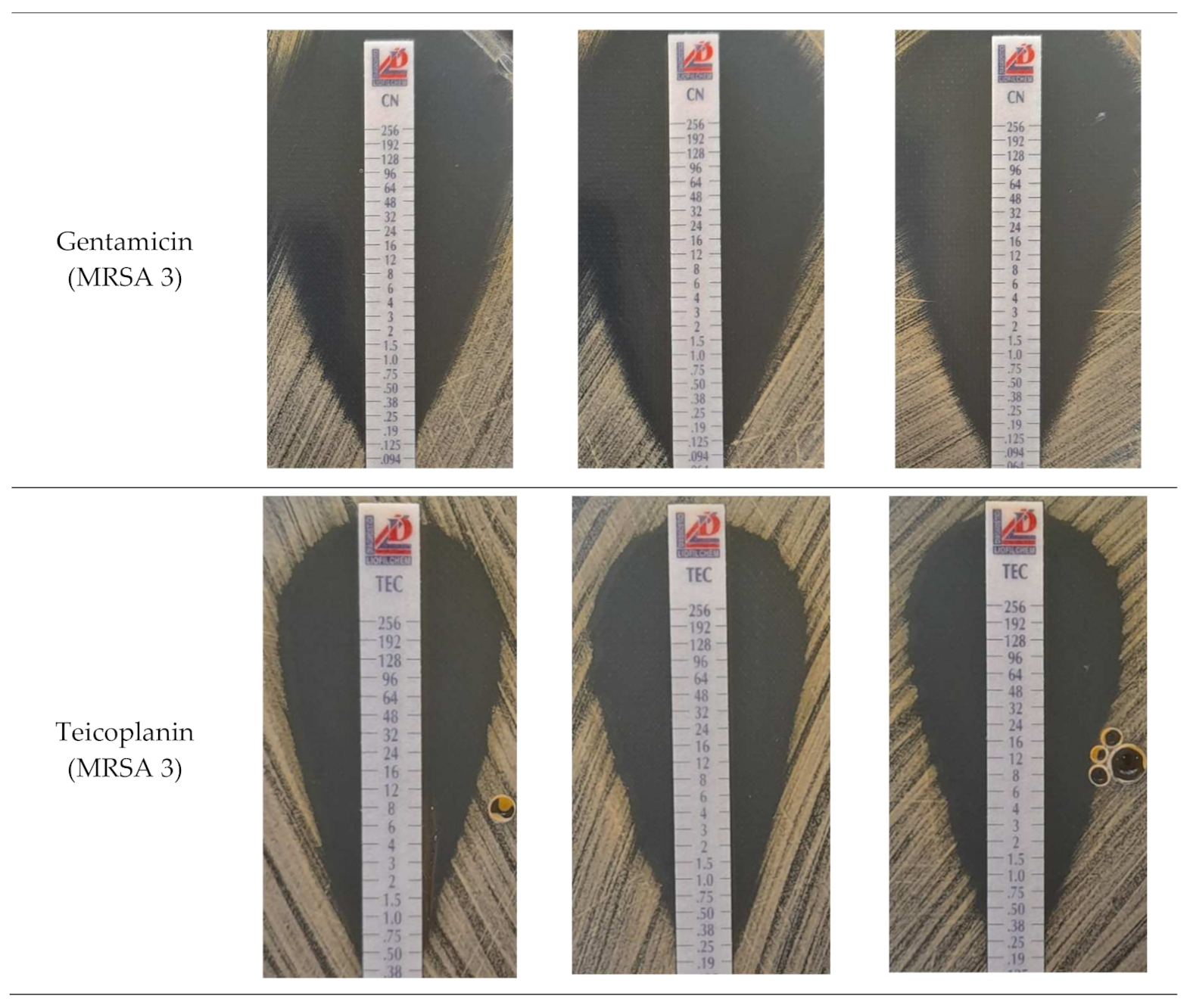 Ijms 22 11551 g002c Ijms 22 11551 g002c