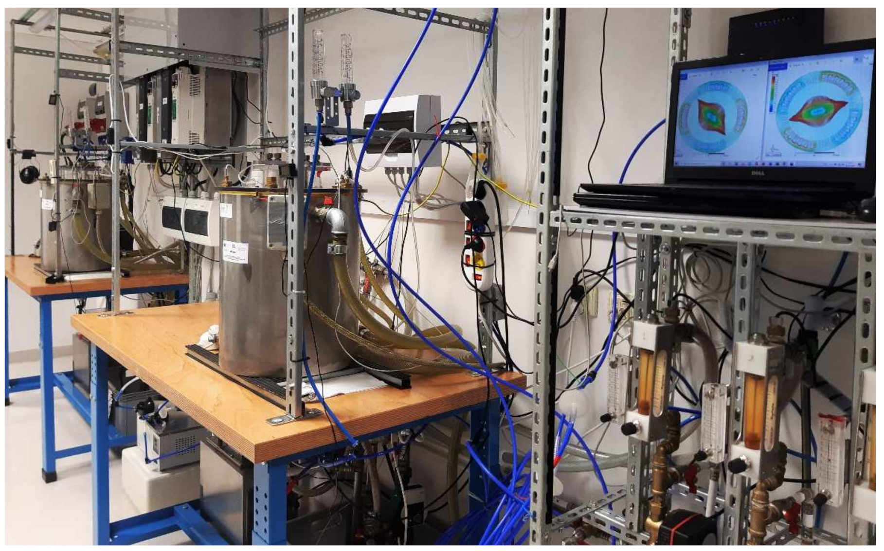 Ijms 22 11551 g006 Ijms 22 11551 g006