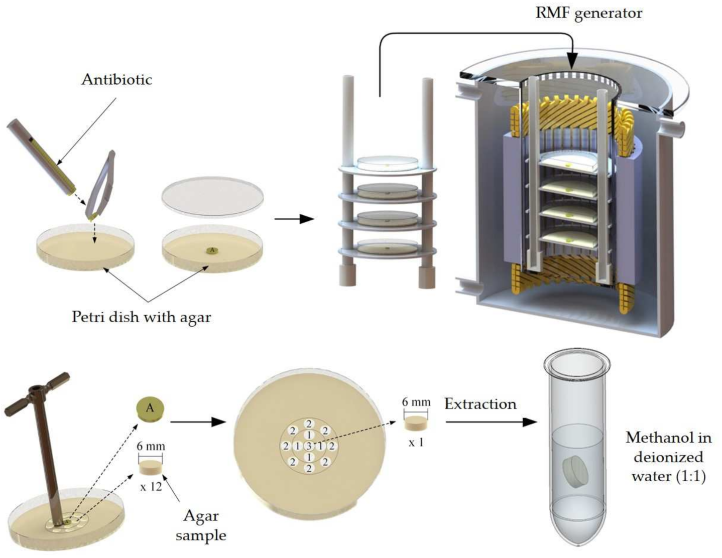 Ijms 22 11551 g008 Ijms 22 11551 g008