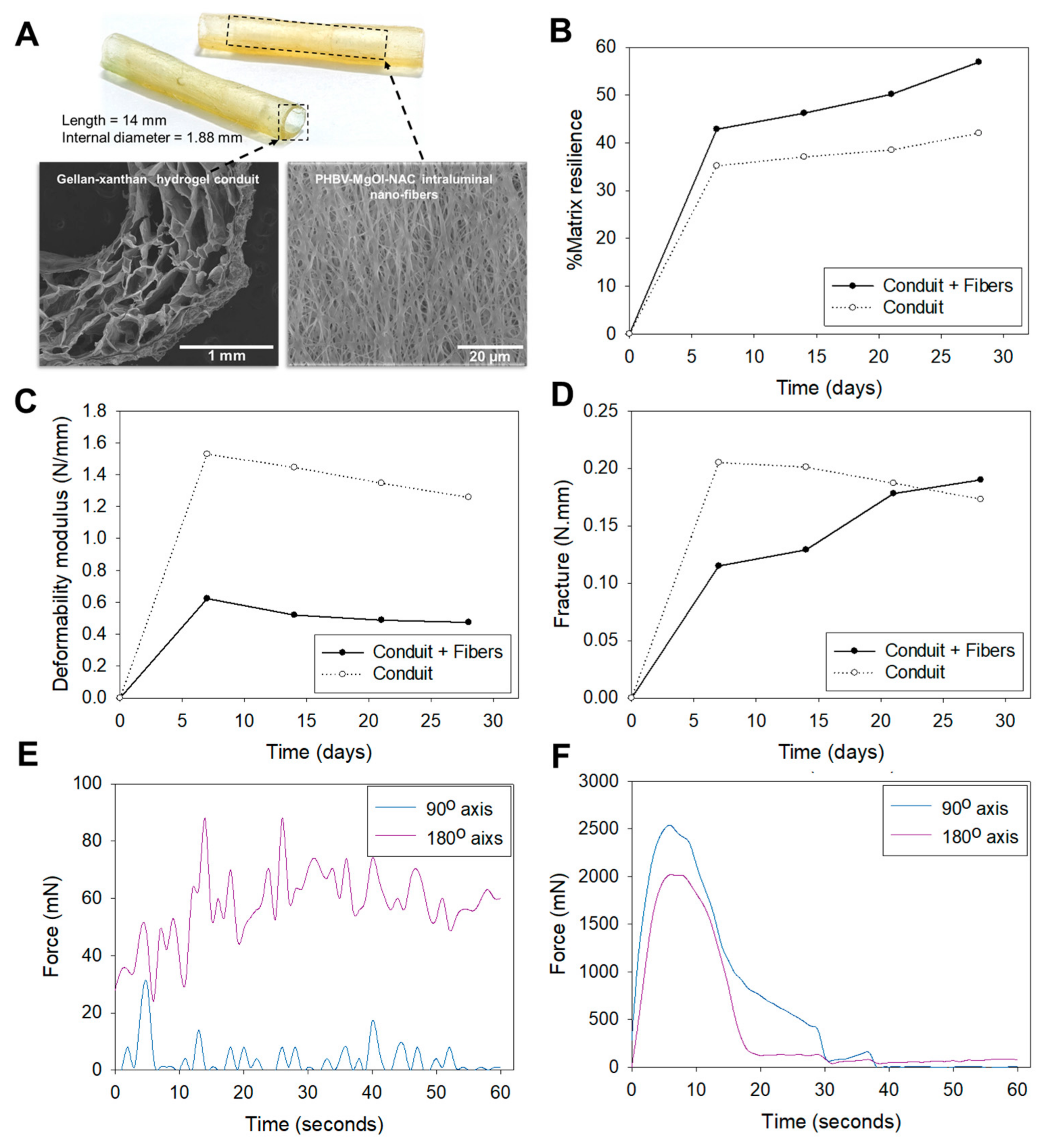 Ijms 22 11555 g001 550