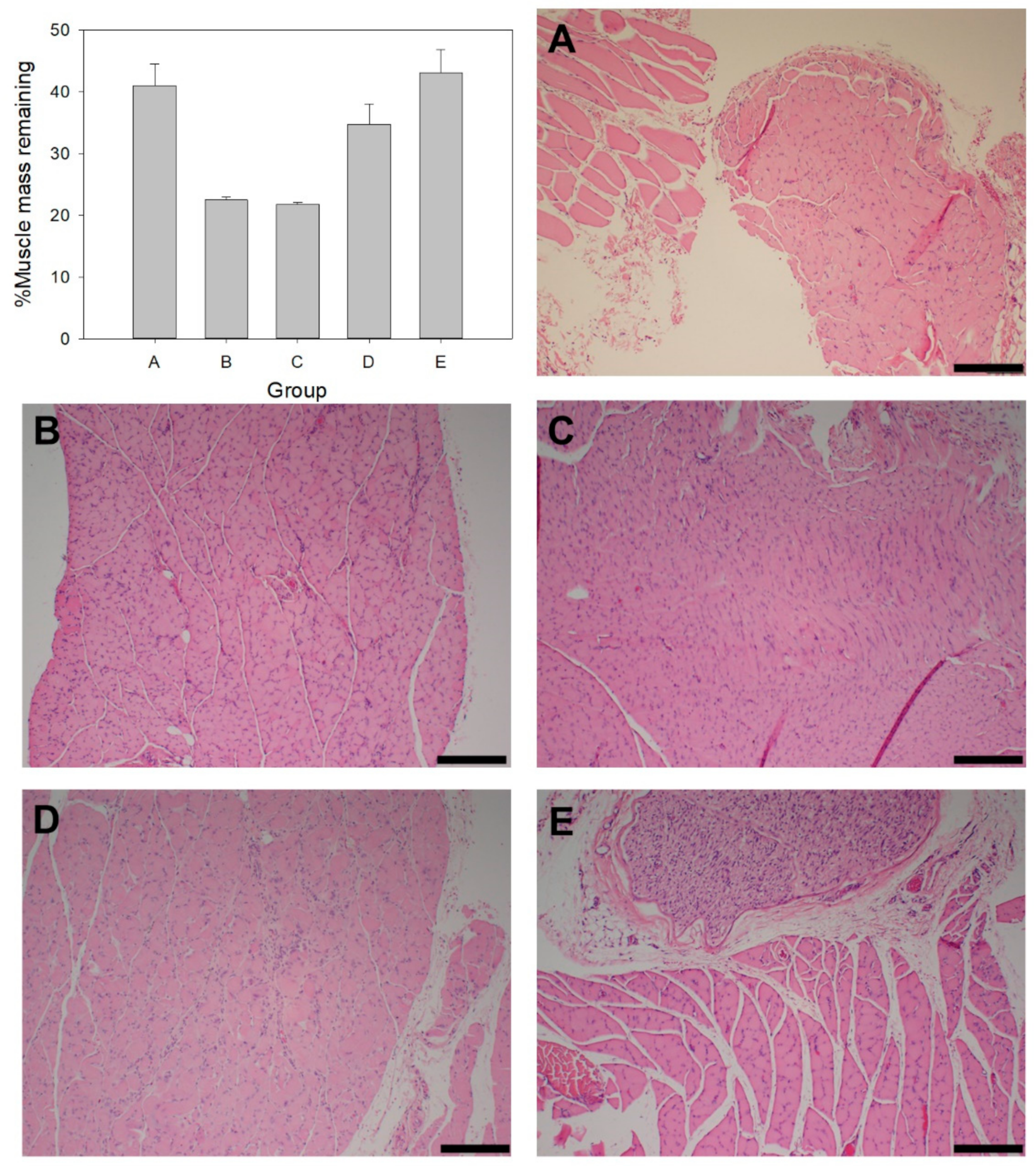 Ijms 22 11555 g007 550