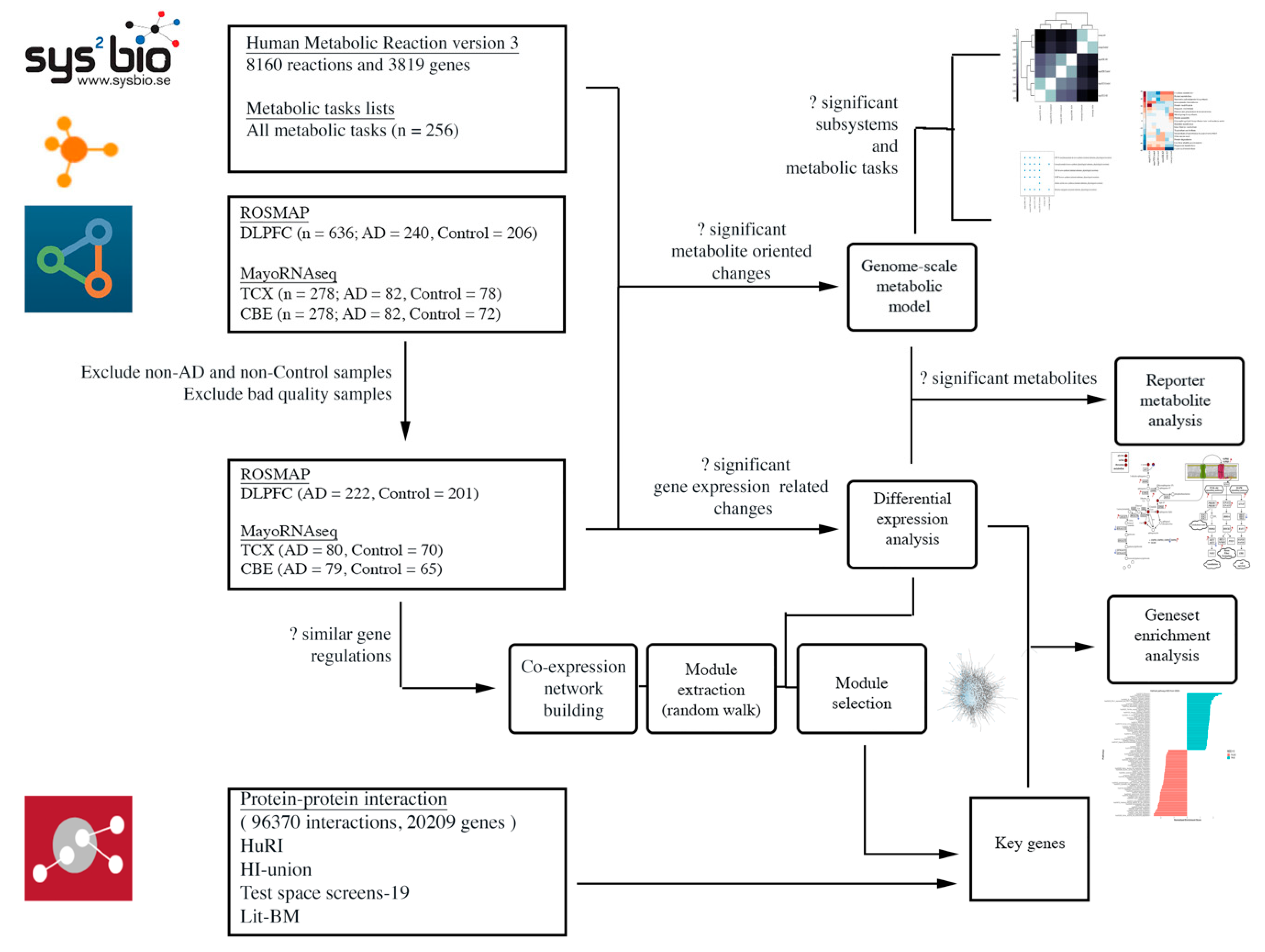 Ijms 22 11556 g002 550