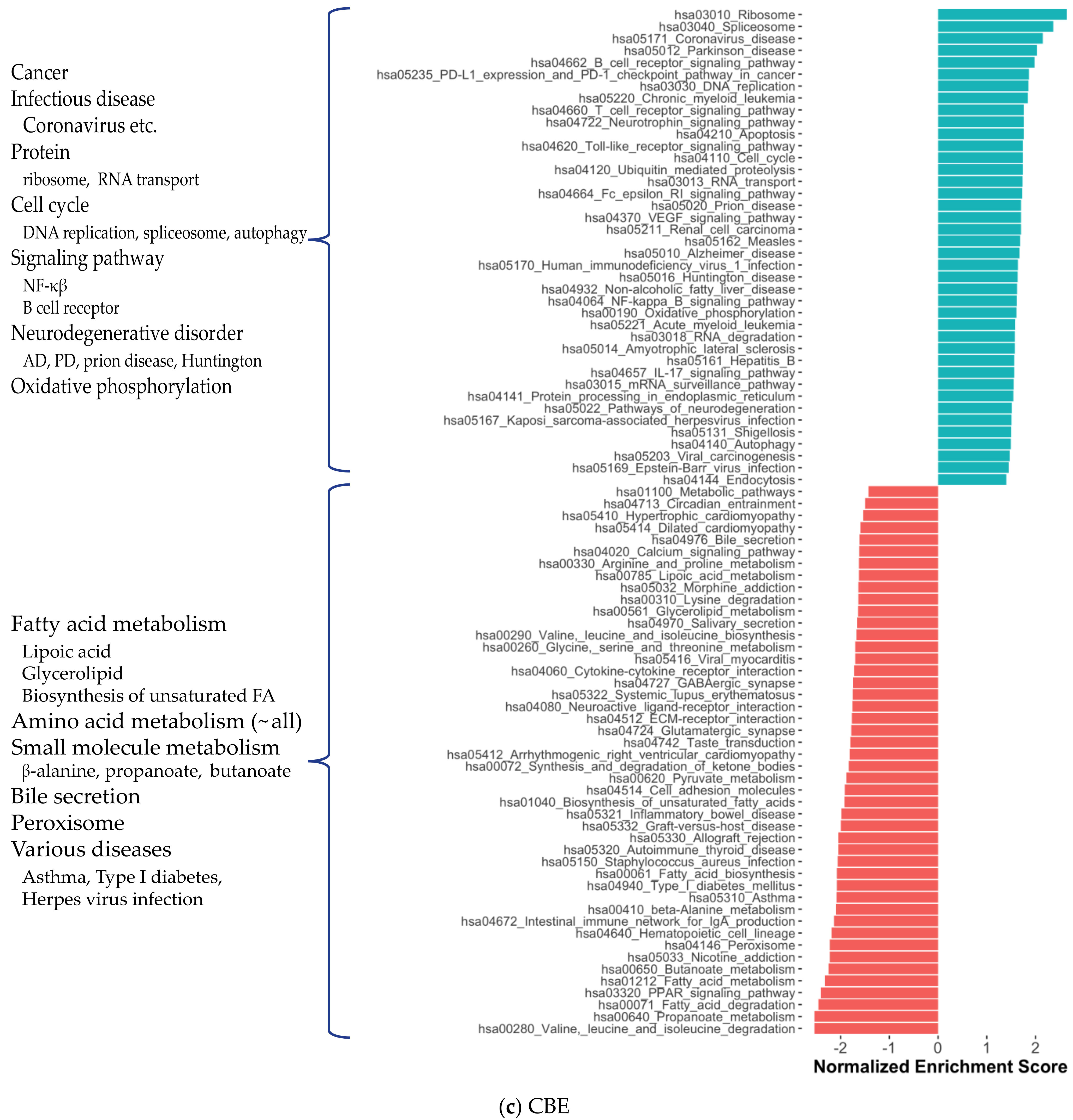 Ijms 22 11556 g003c 550