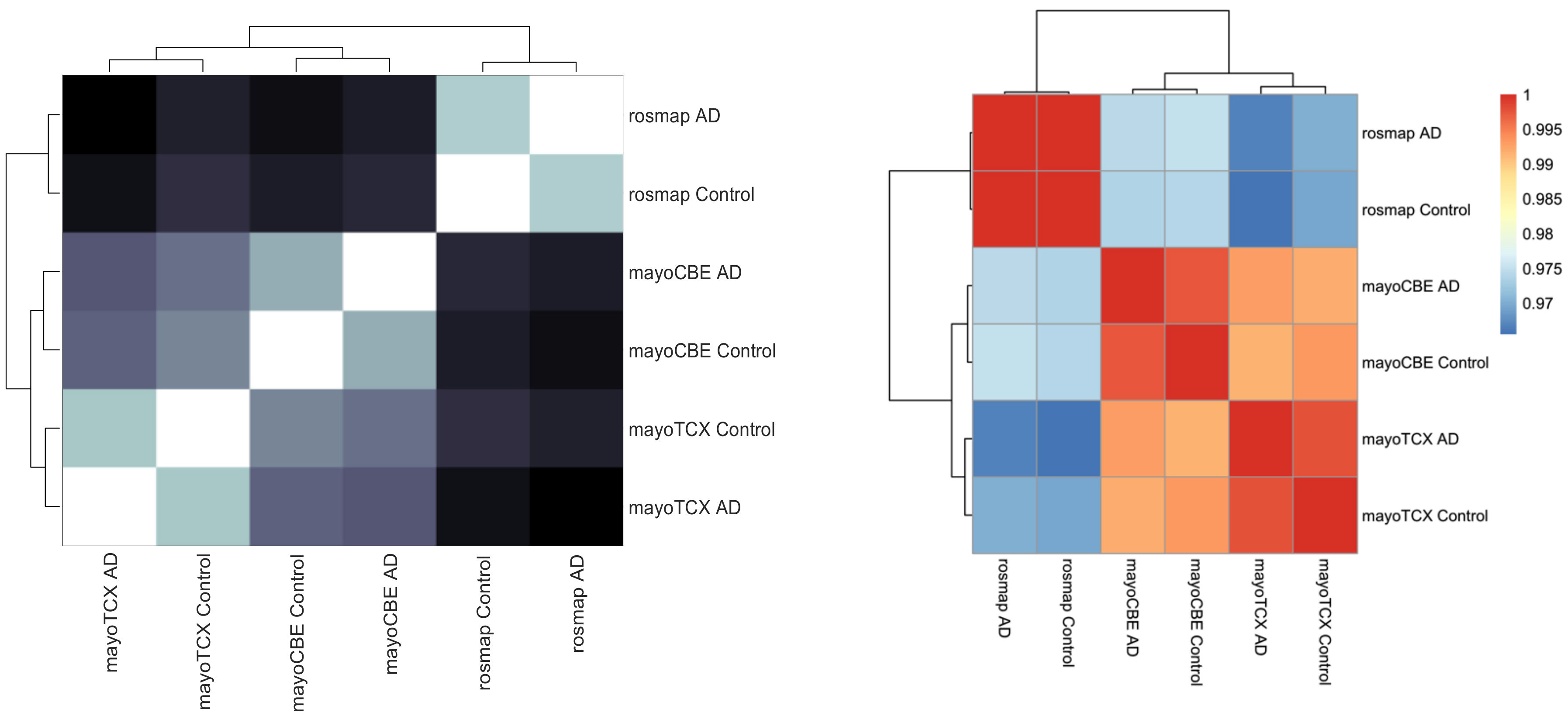 Ijms 22 11556 g005 550