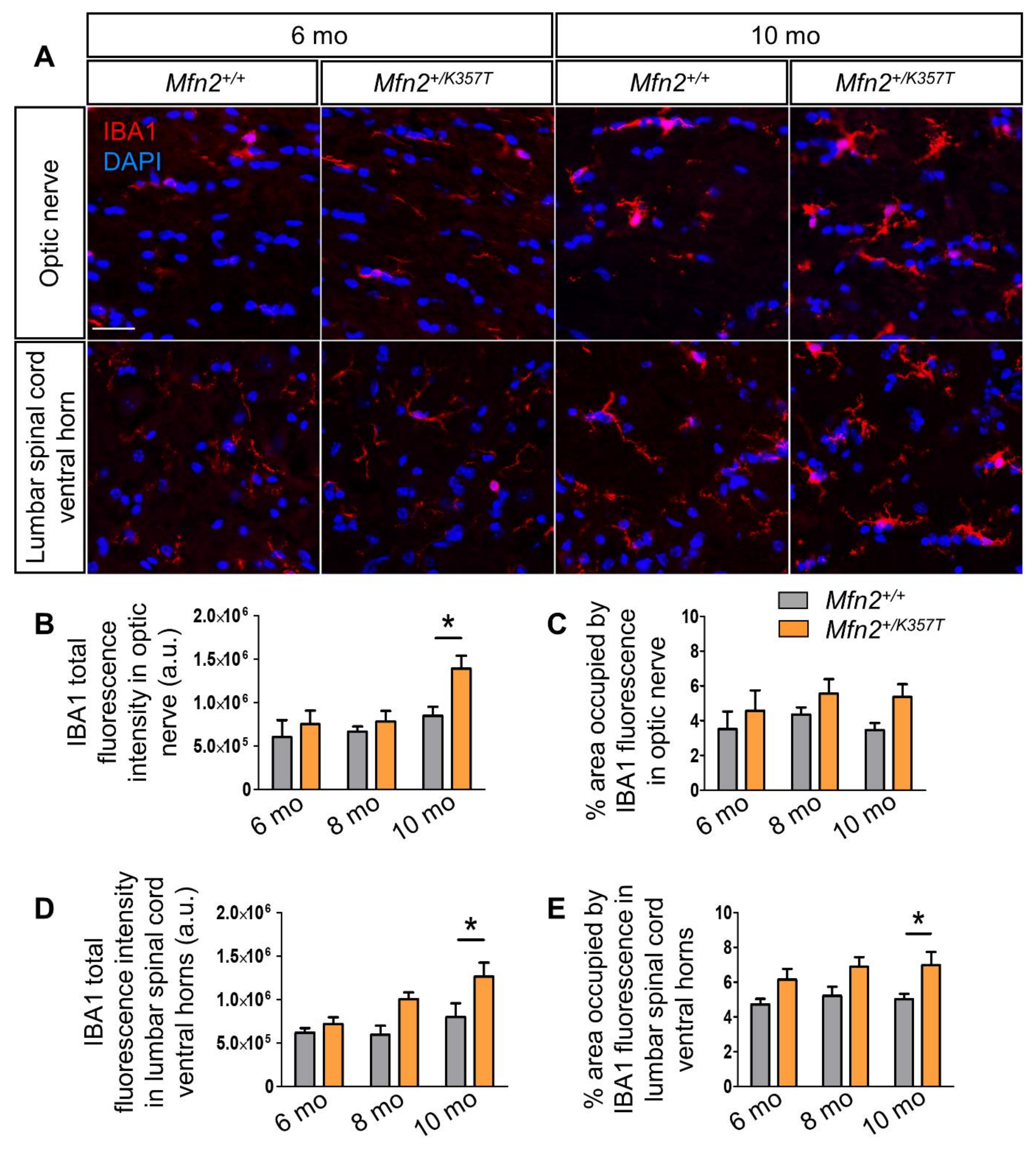 Ijms 22 11569 g004 550