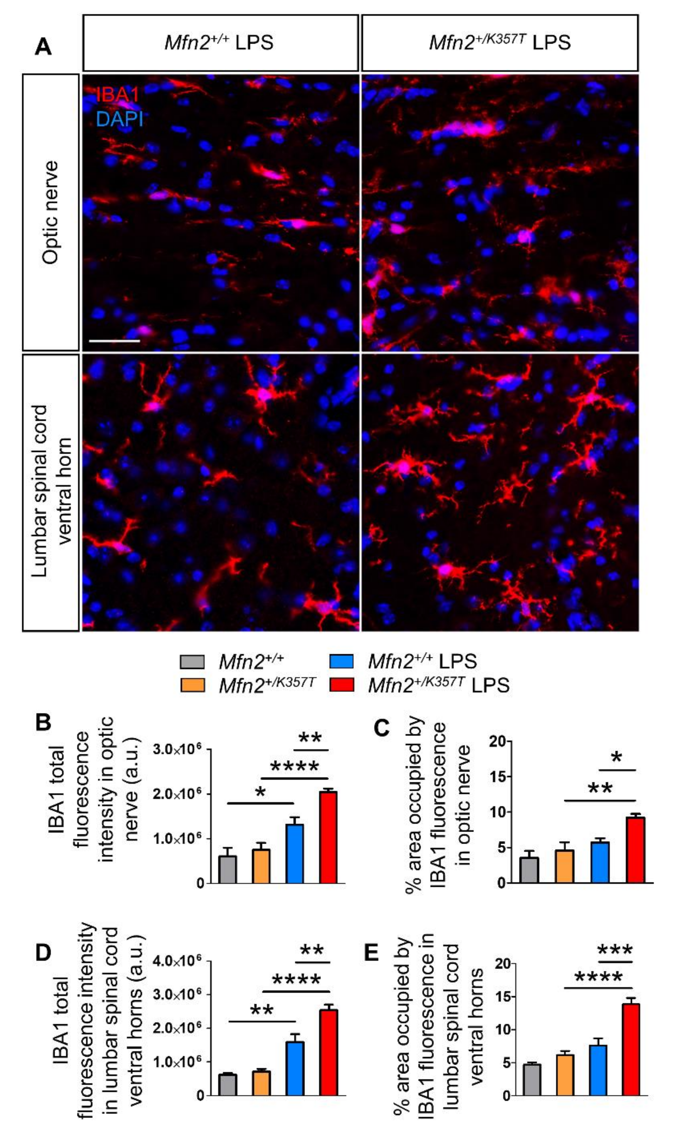 Ijms 22 11569 g006 550