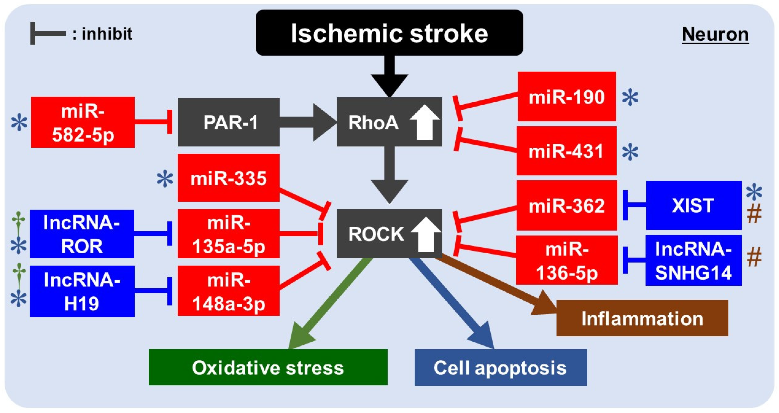 Ijms 22 11573 g002 550
