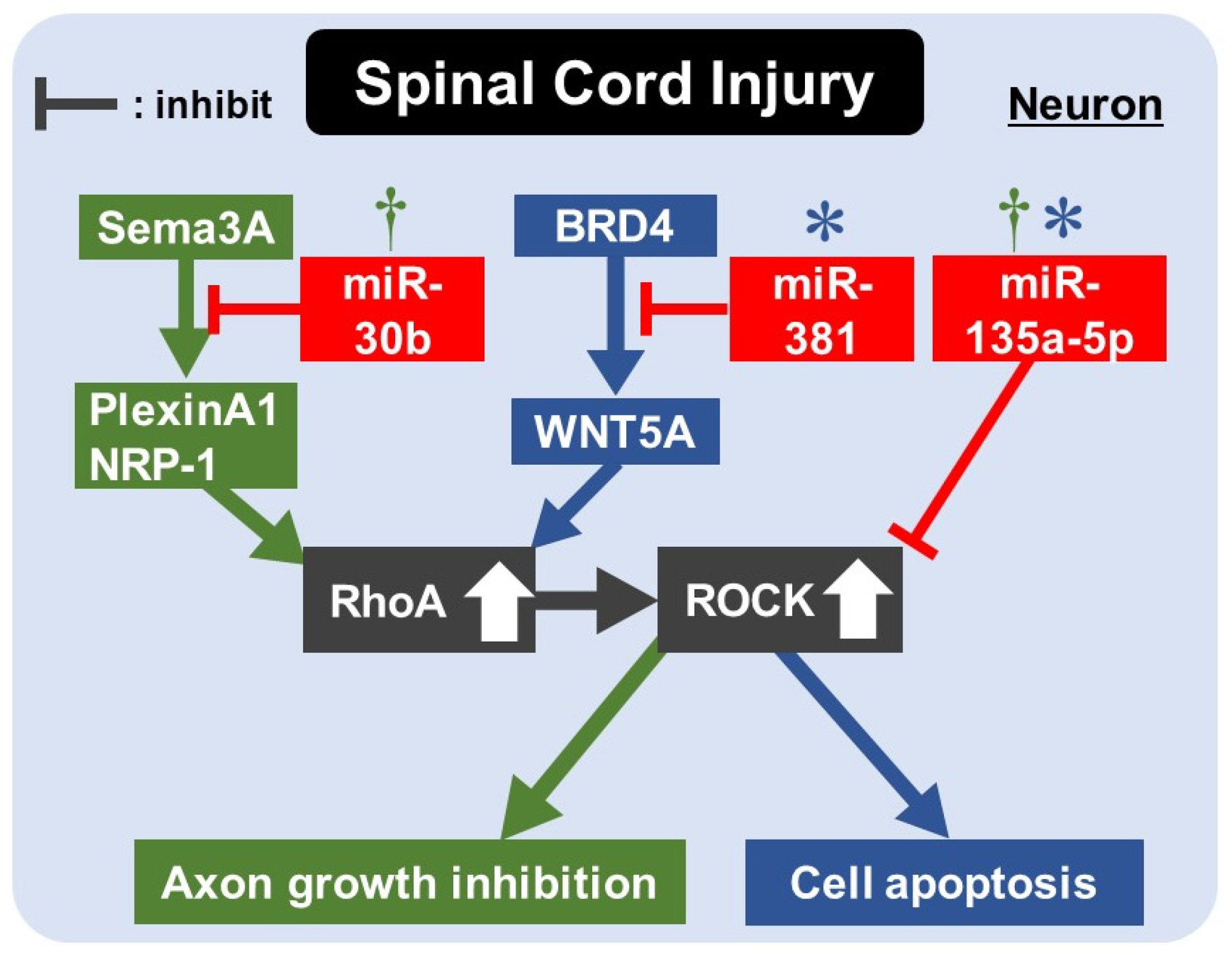 Ijms 22 11573 g003 550