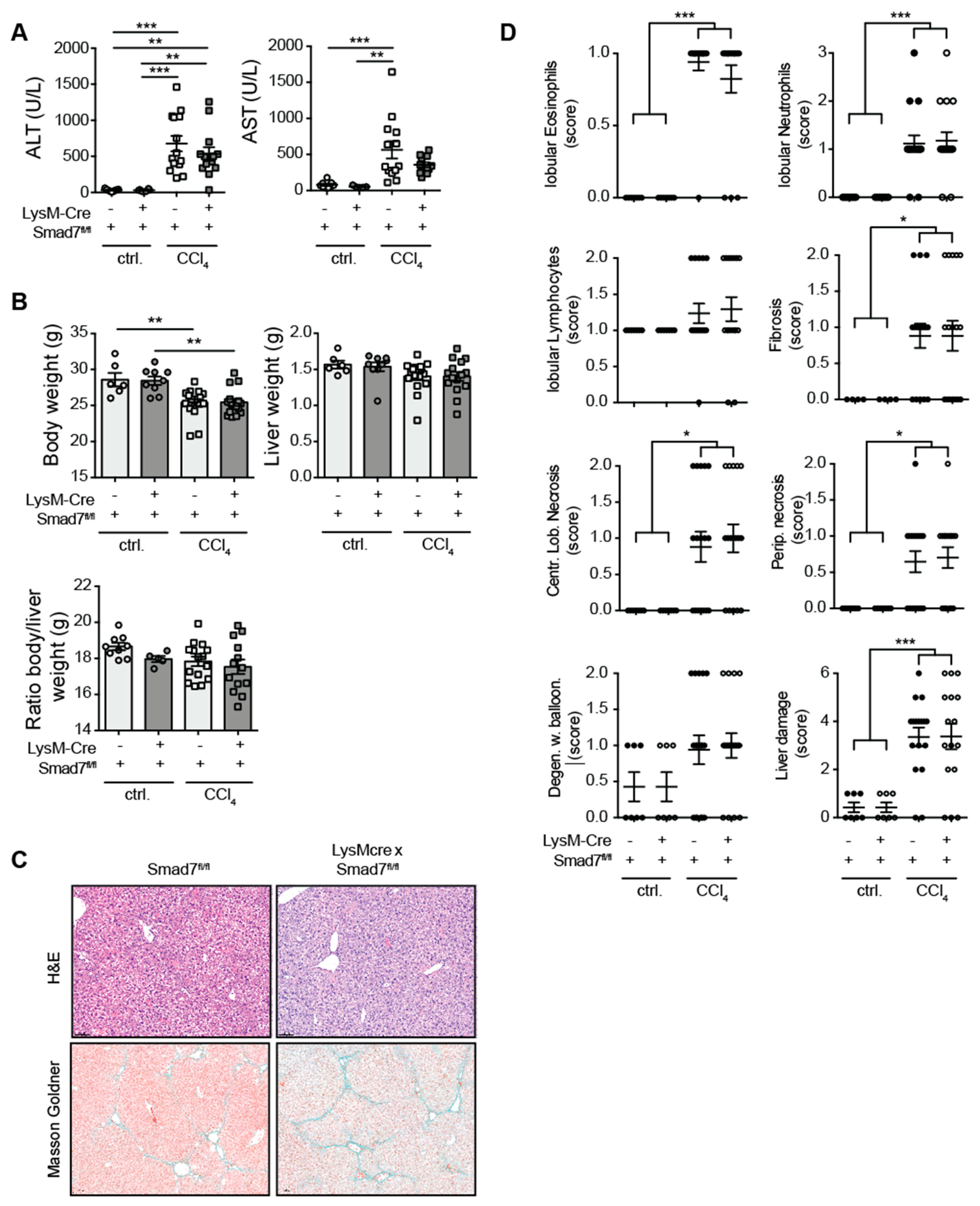 Ijms 22 11575 g001 550