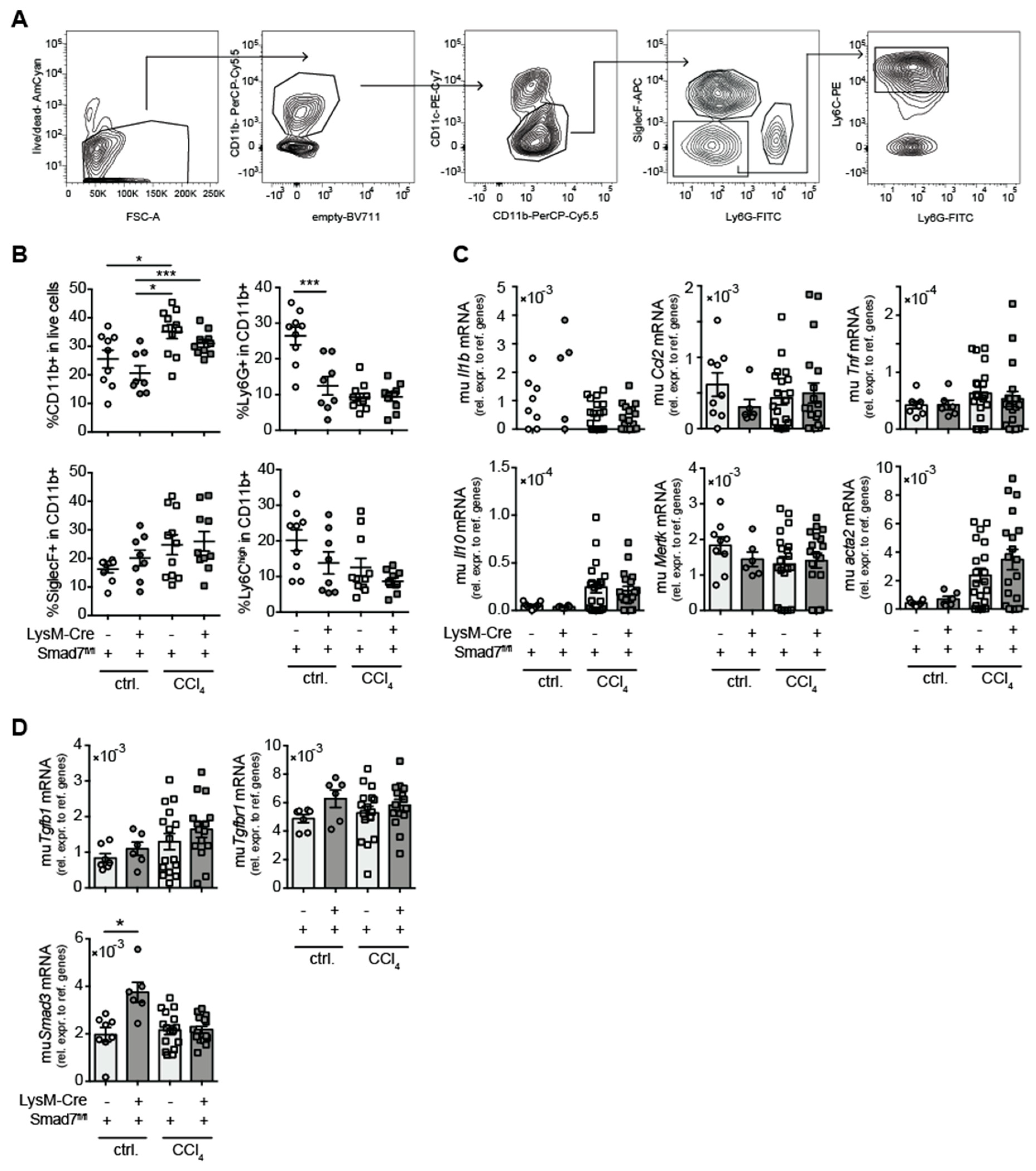 Ijms 22 11575 g002 550