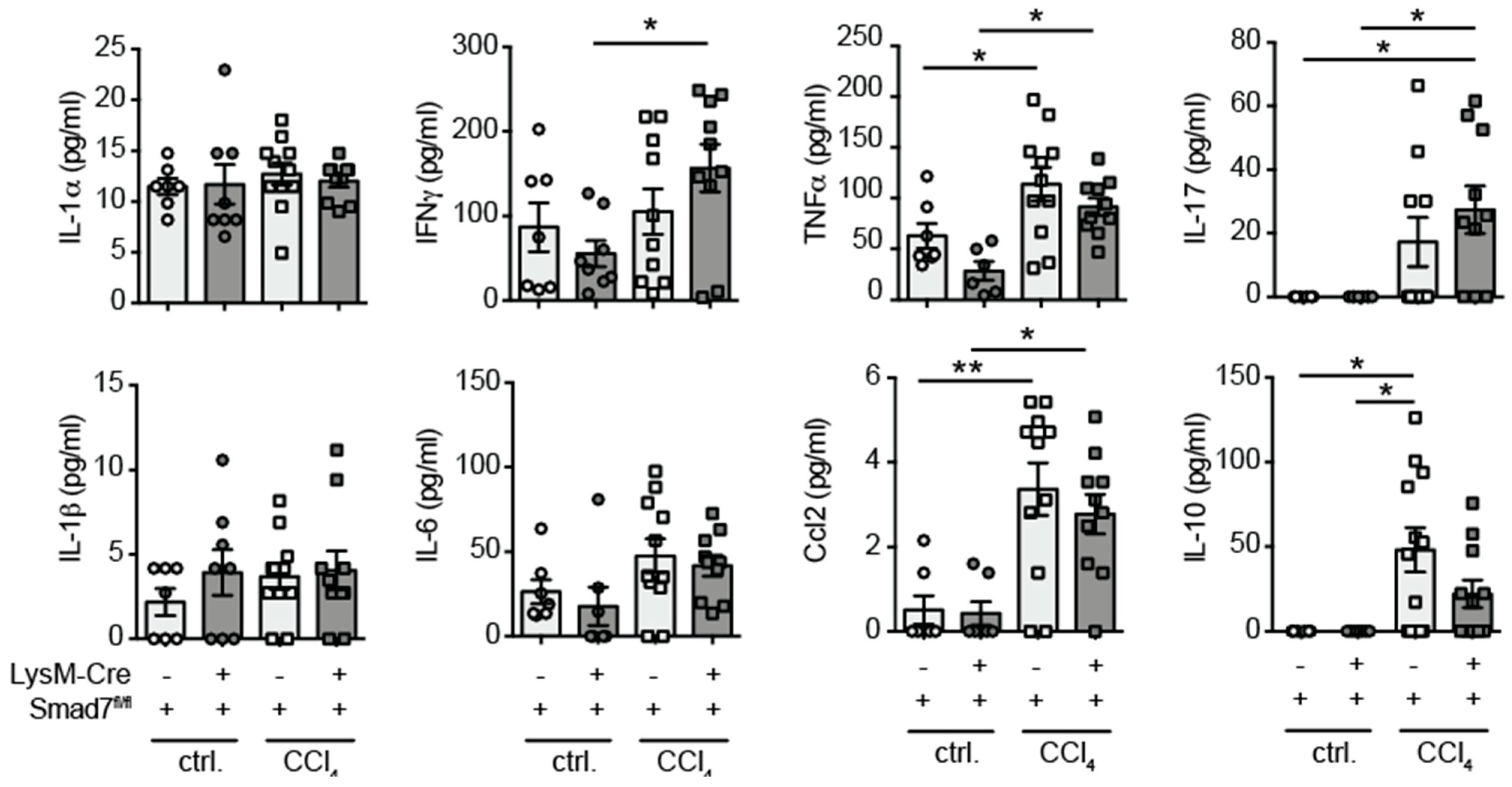 Ijms 22 11575 g003 550