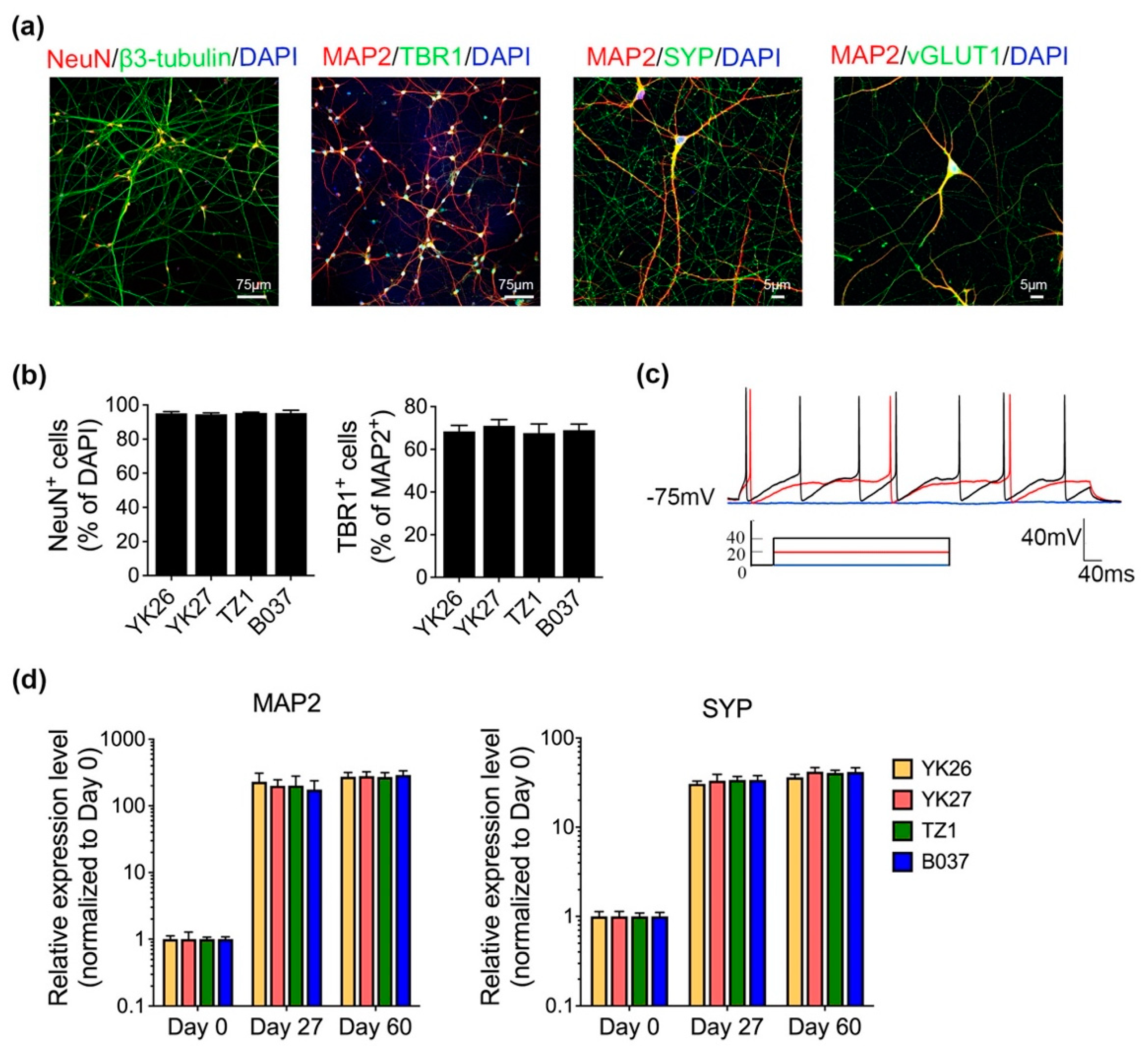 Ijms 22 11582 g002 550