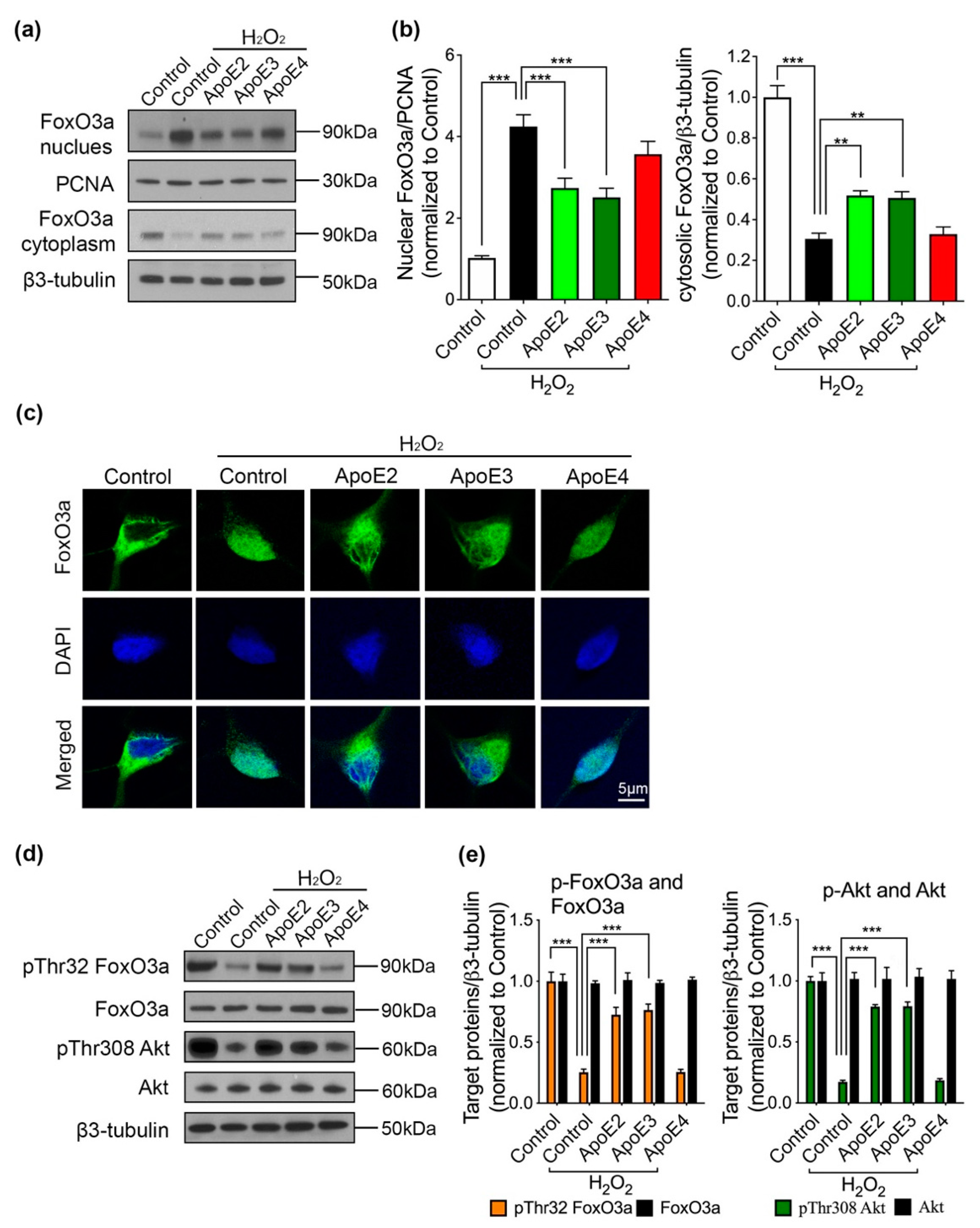 Ijms 22 11582 g004 550