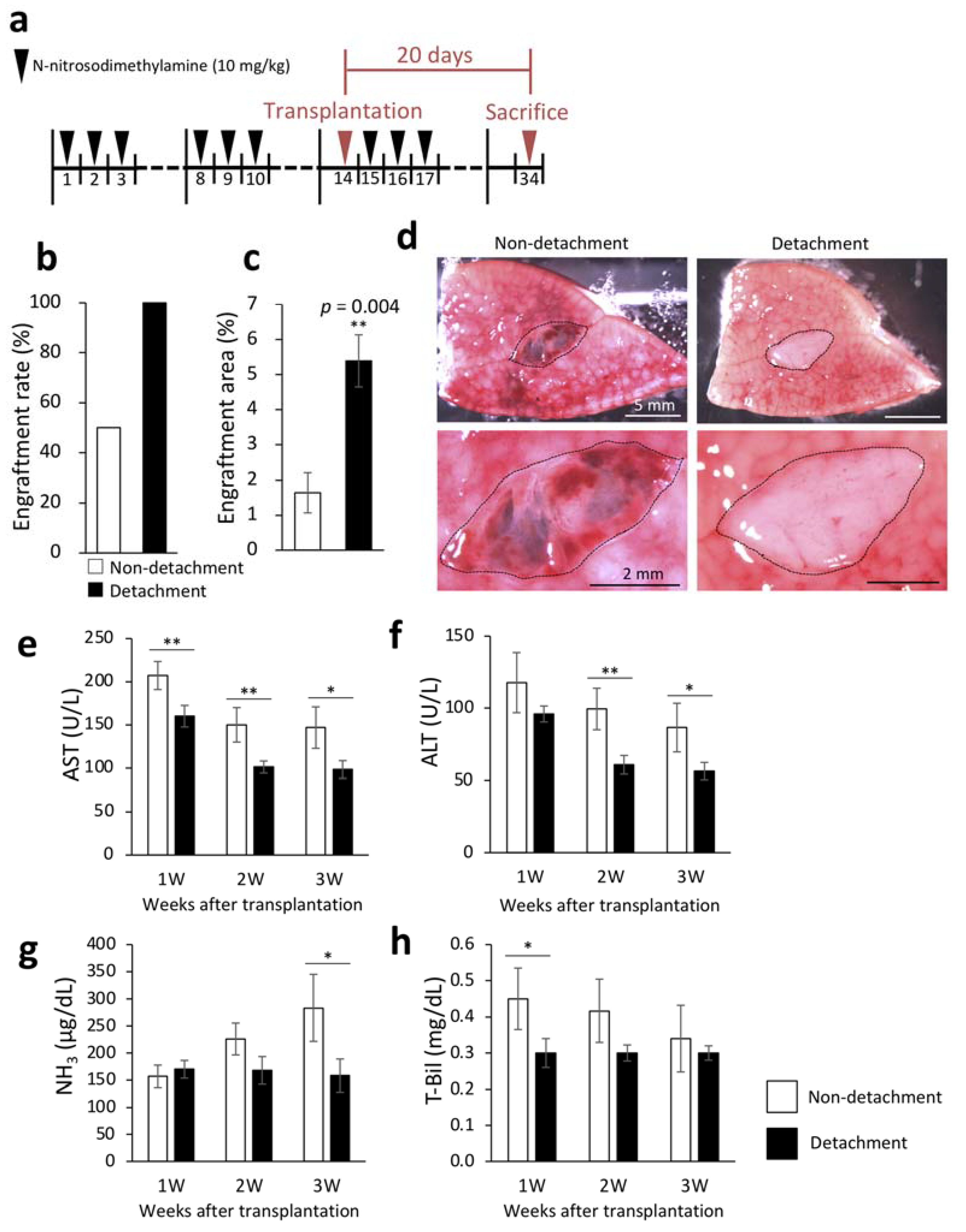 Ijms 22 11589 g001 550
