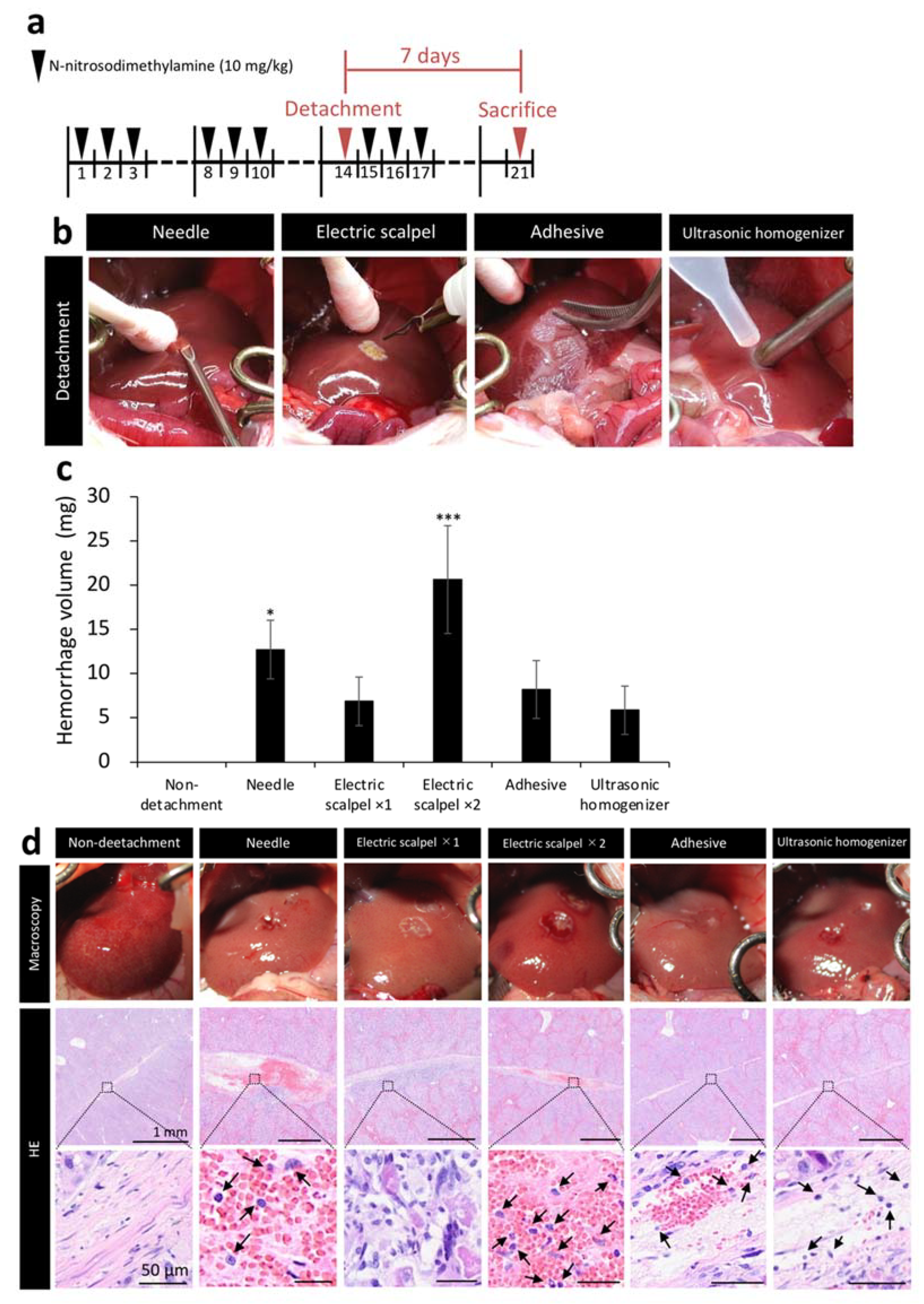 Ijms 22 11589 g002 550