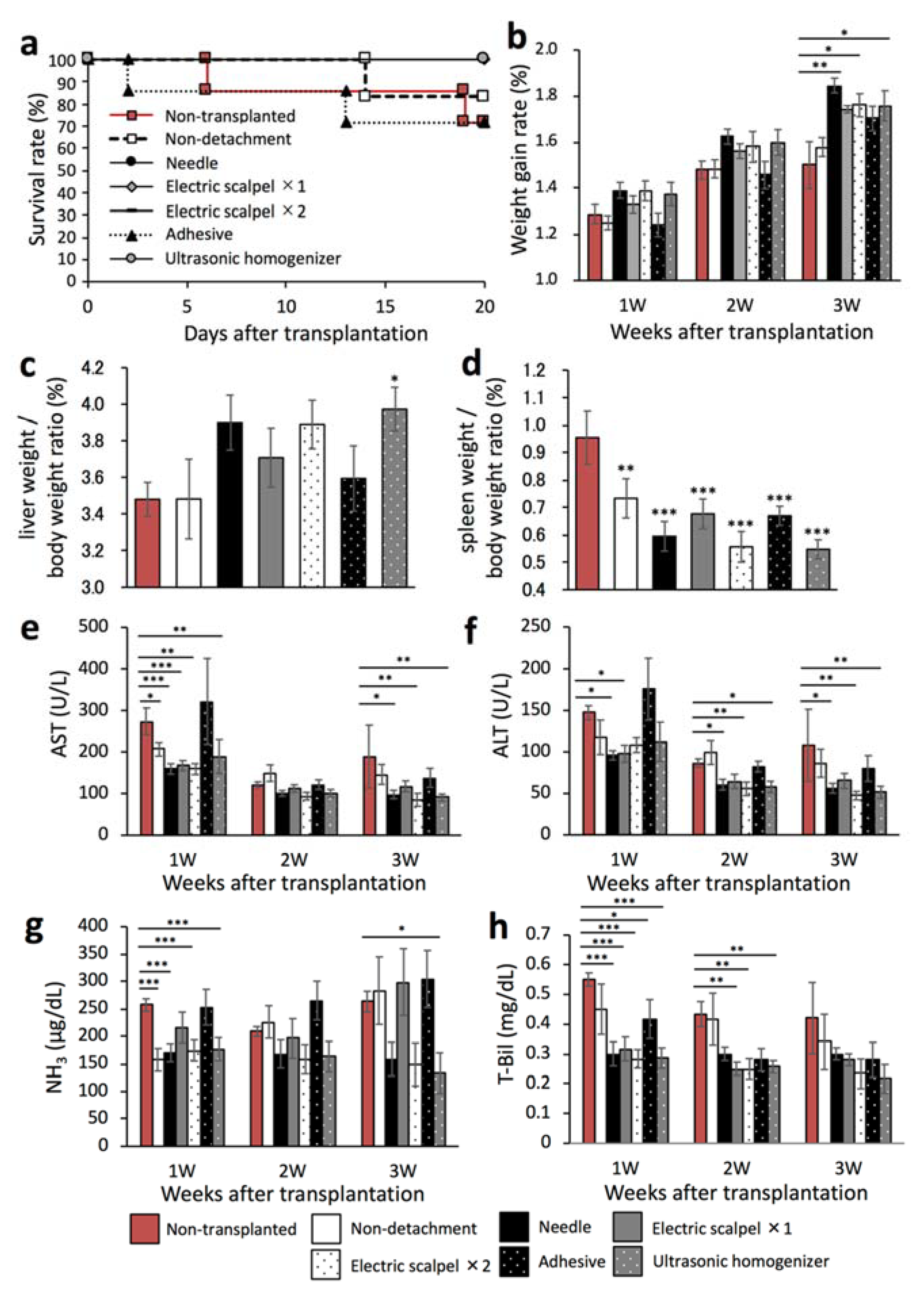 Ijms 22 11589 g004 550