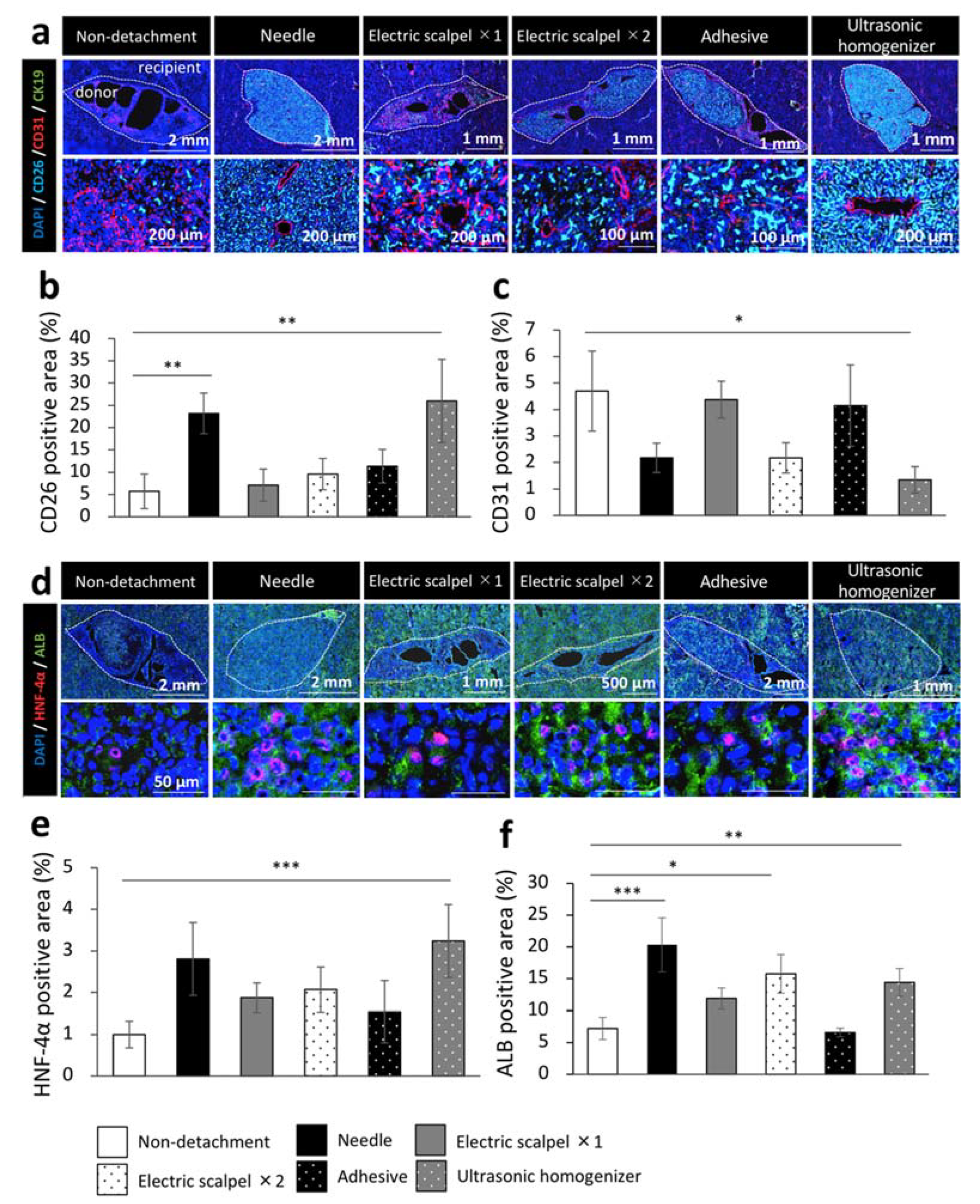 Ijms 22 11589 g005 550