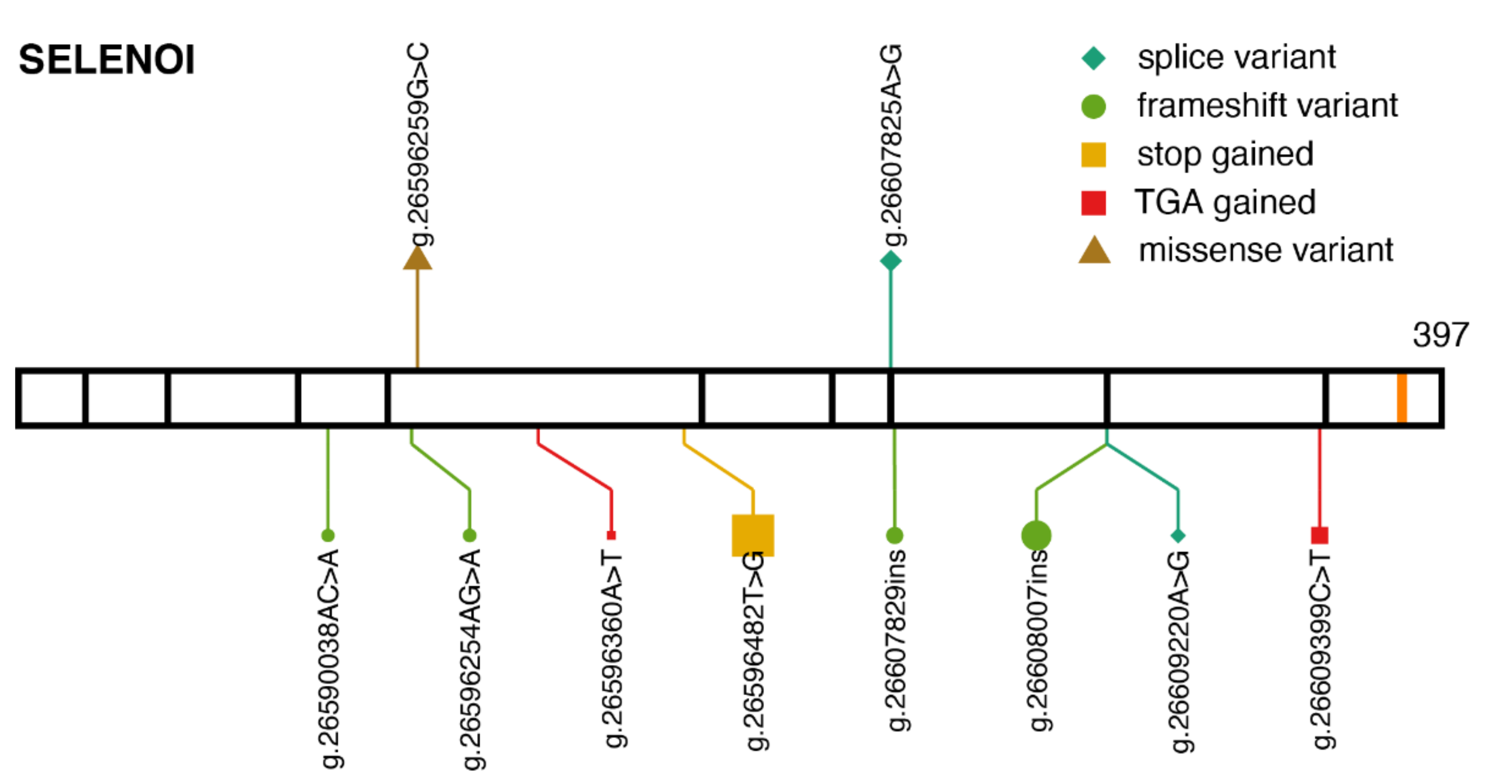 Ijms 22 11593 g004 Ijms 22 11593 g004